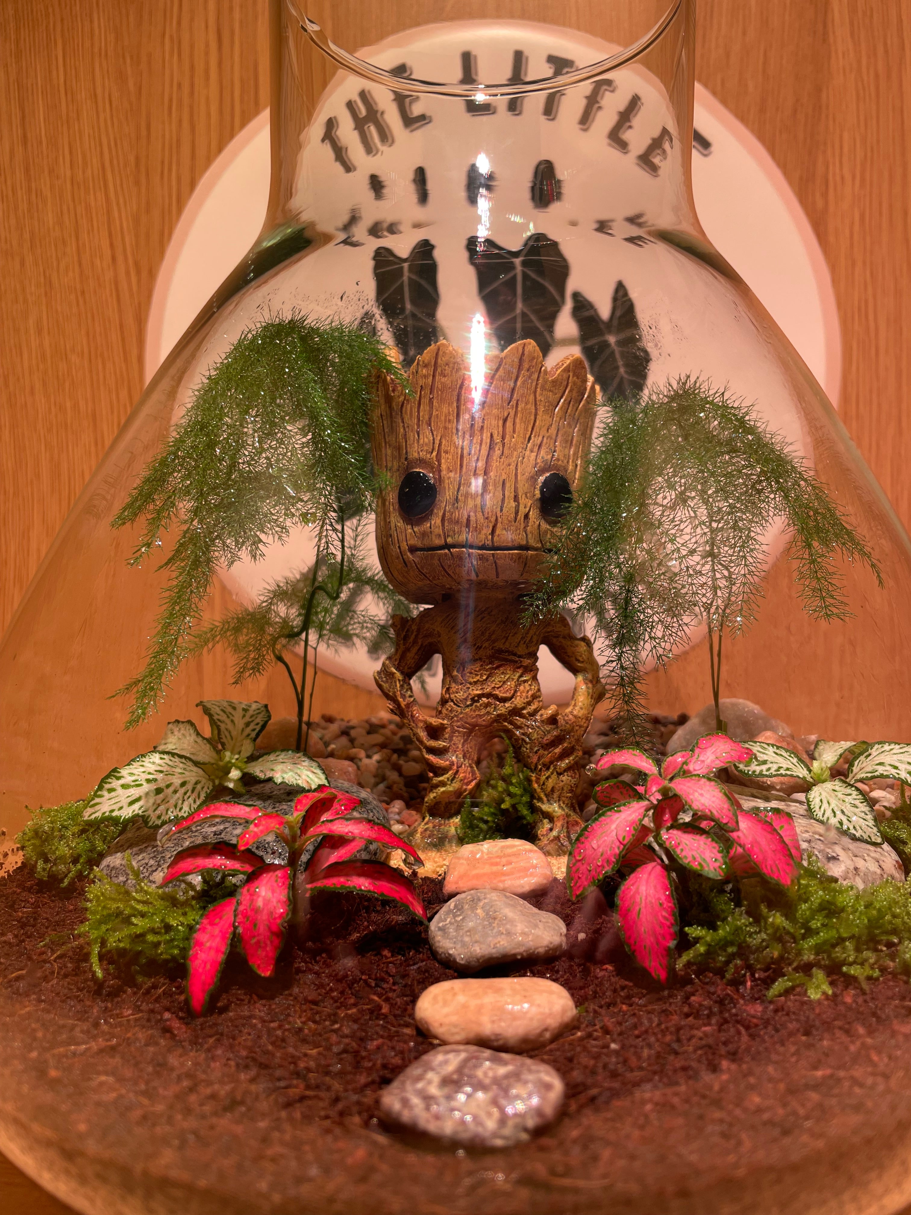 Grootarium