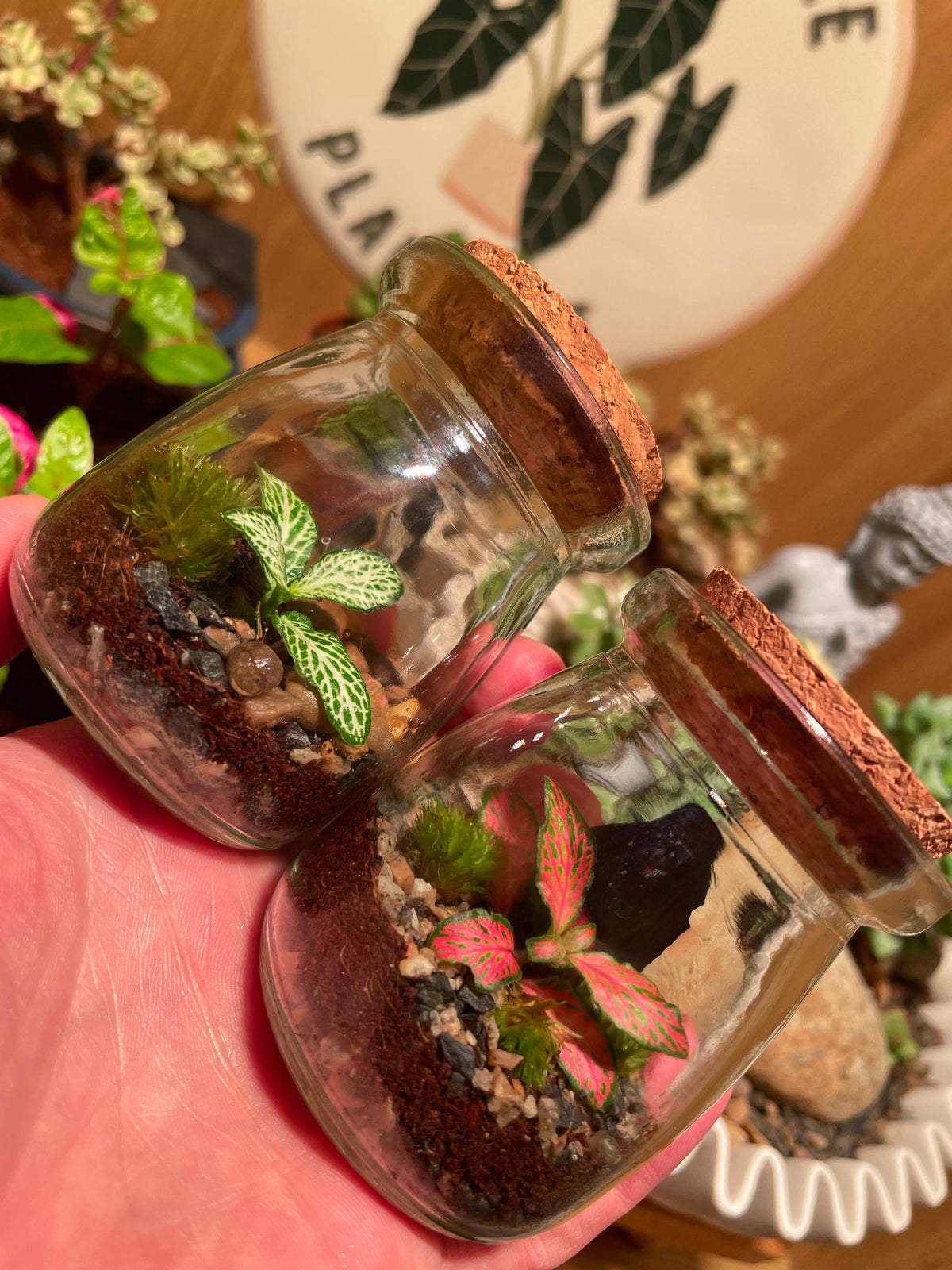 Micro Terrarium