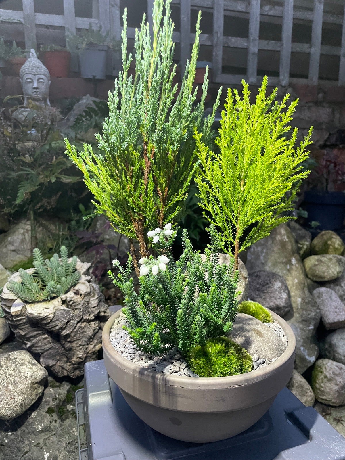 Mini Forest Bowl