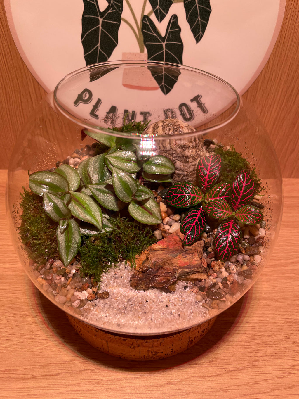 Jungle Bowl