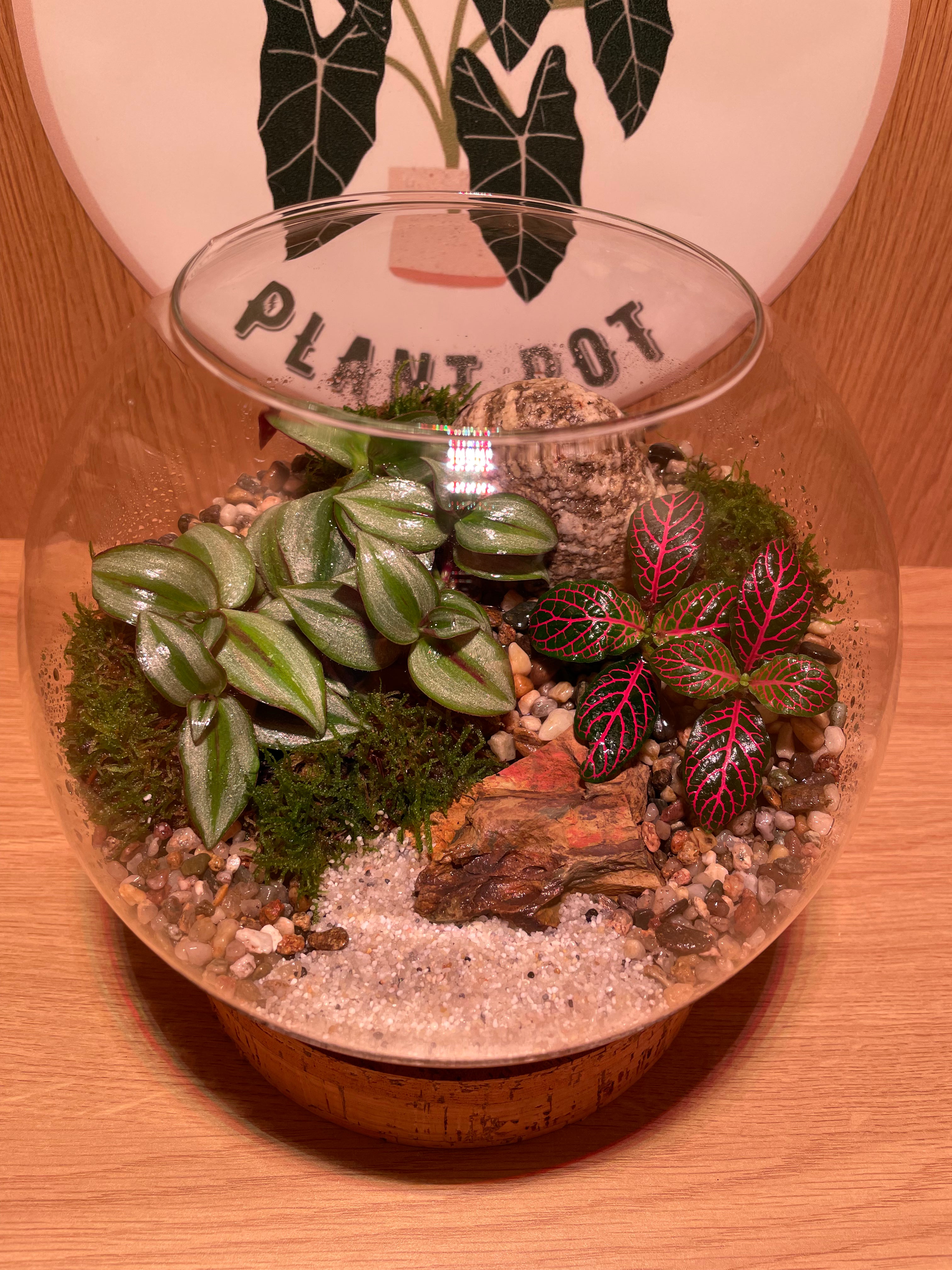 Jungle Bowl