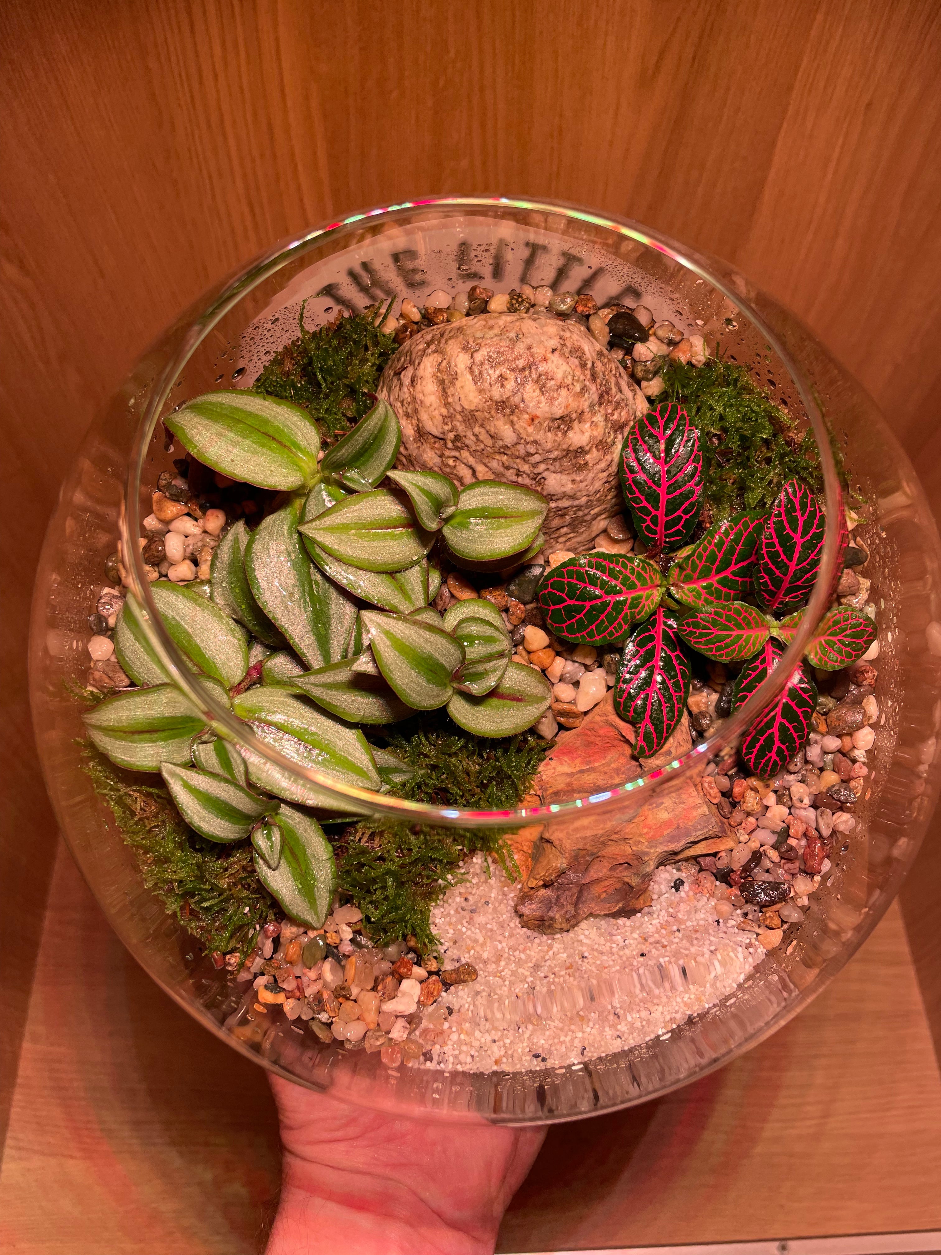 Jungle Bowl