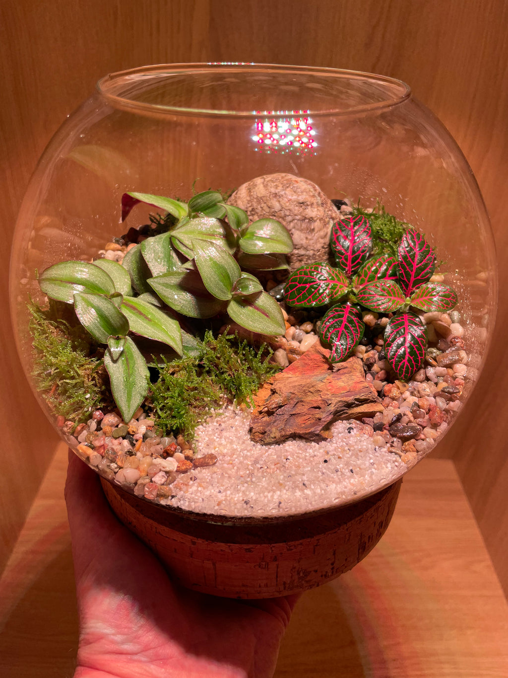 Jungle Bowl