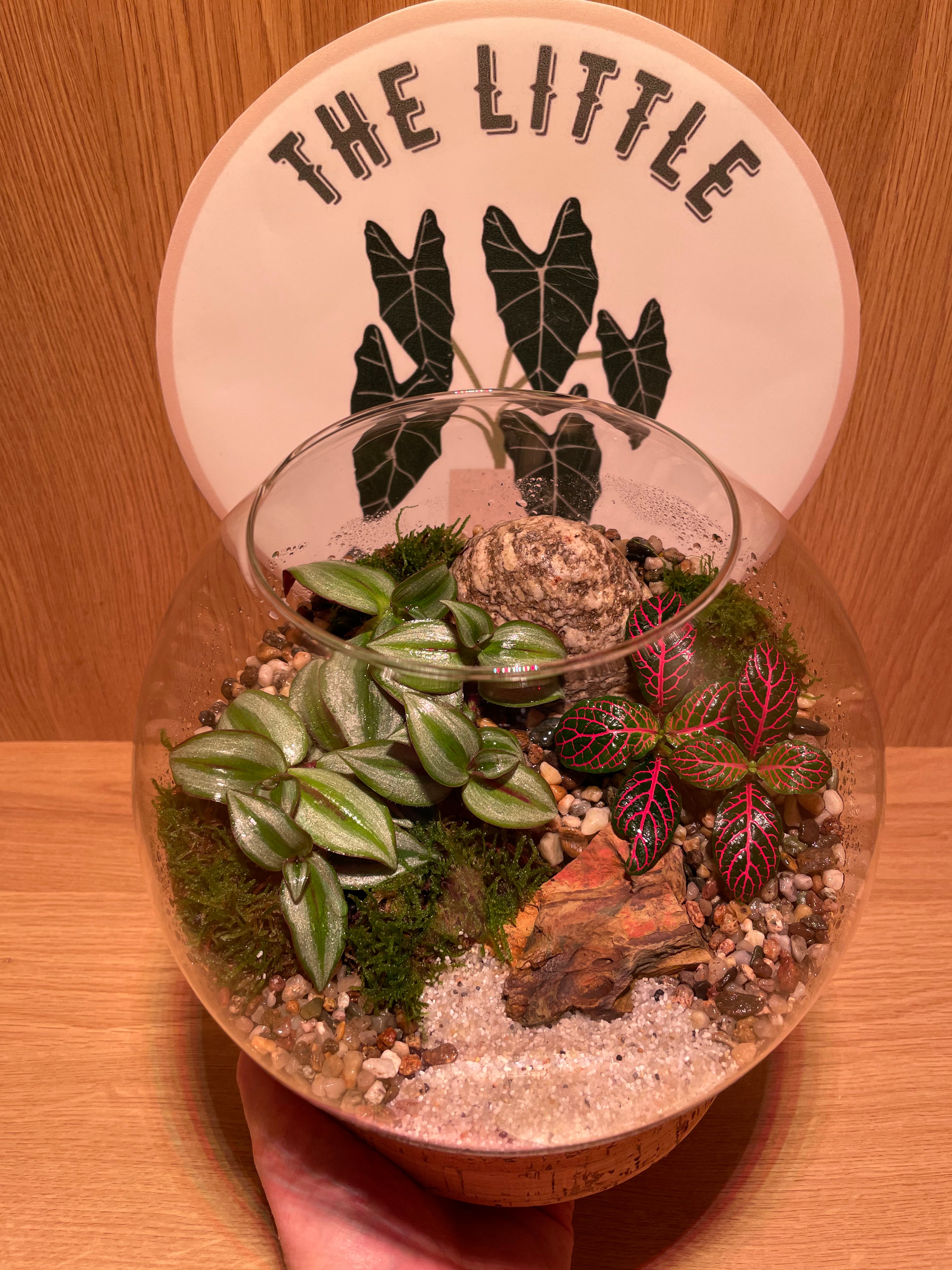 Jungle Bowl