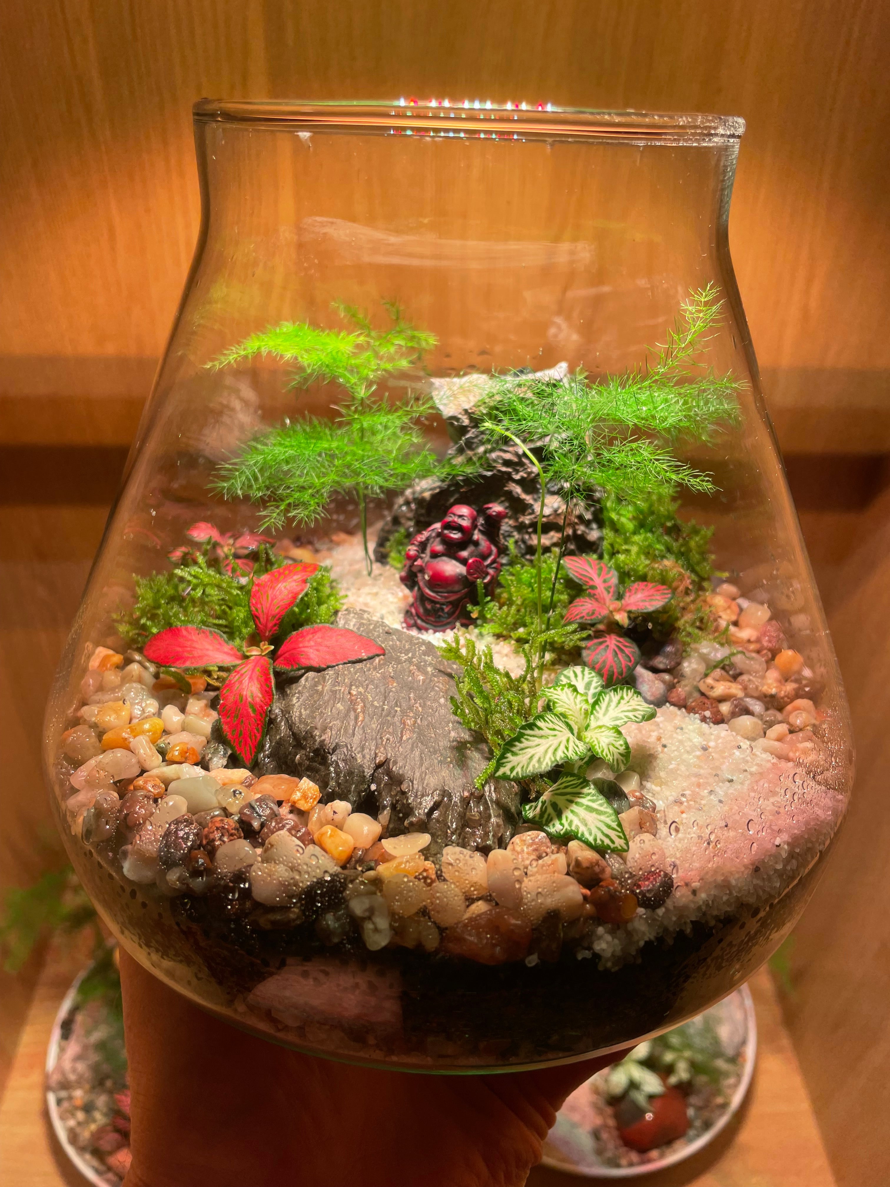 Buddha Terrarium