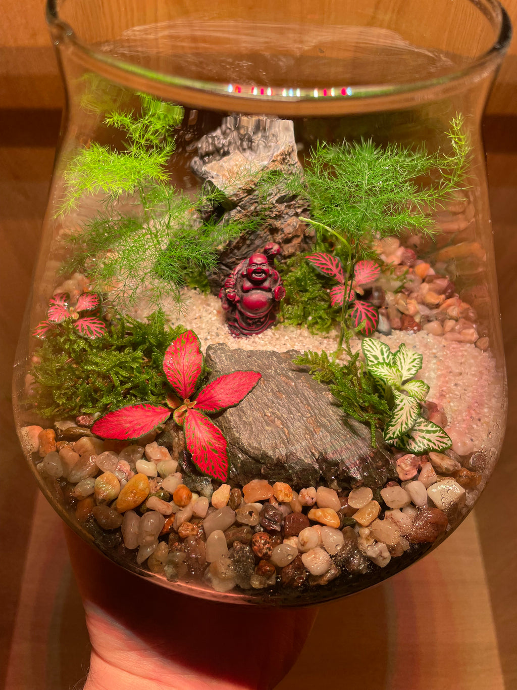 Buddha Terrarium
