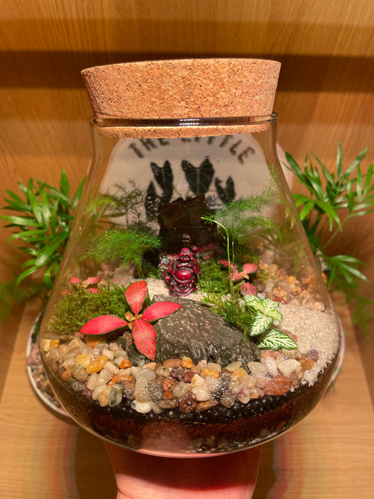 Buddha Terrarium
