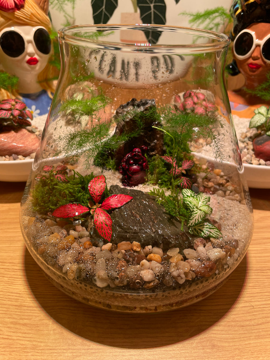 Buddha Terrarium