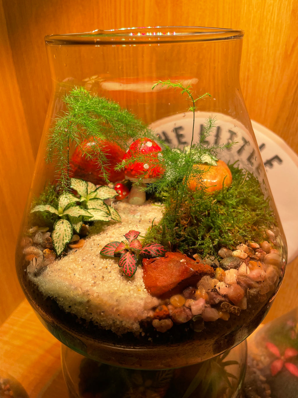 Little Shroom Terrarium