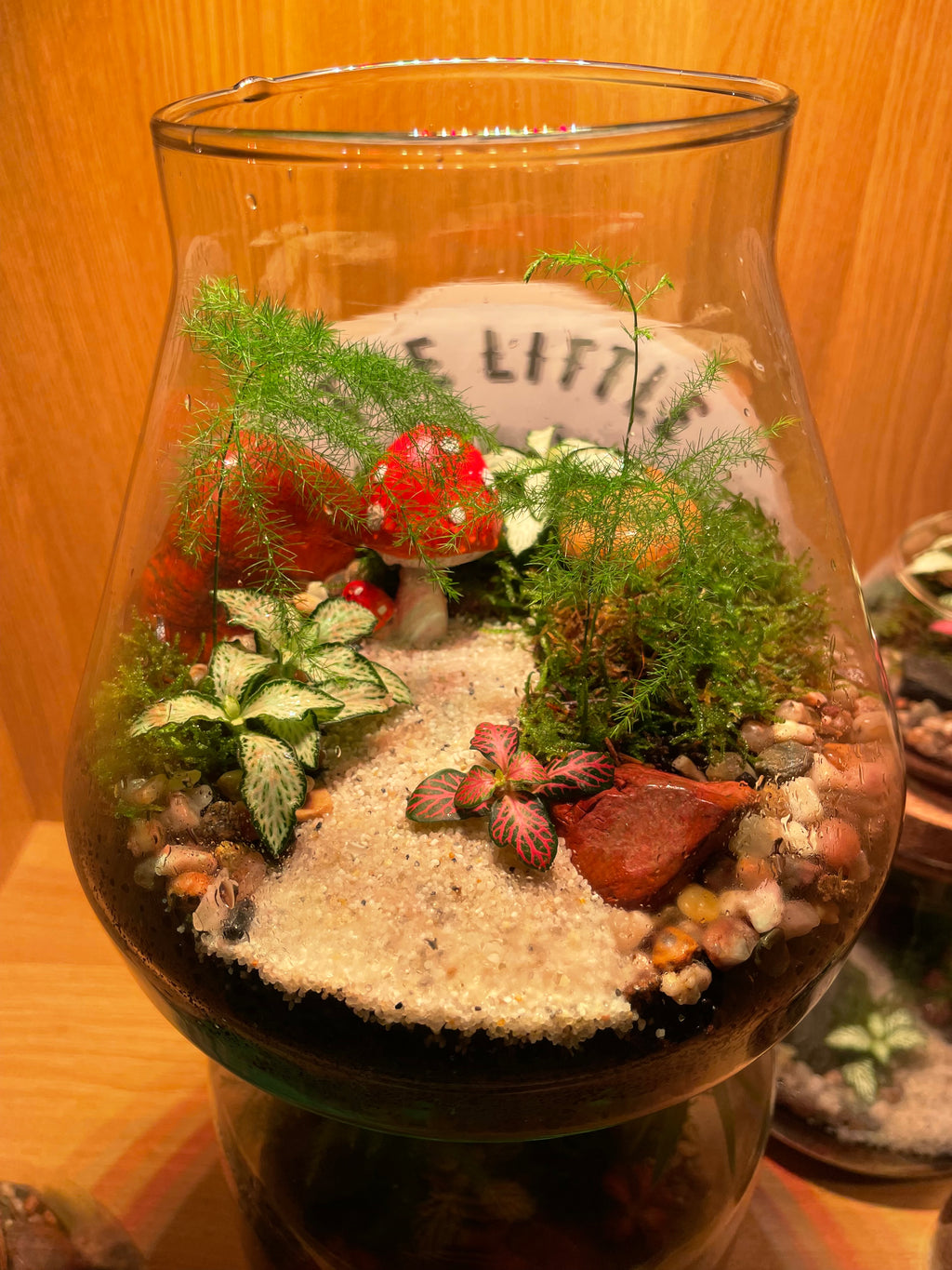 Little Shroom Terrarium