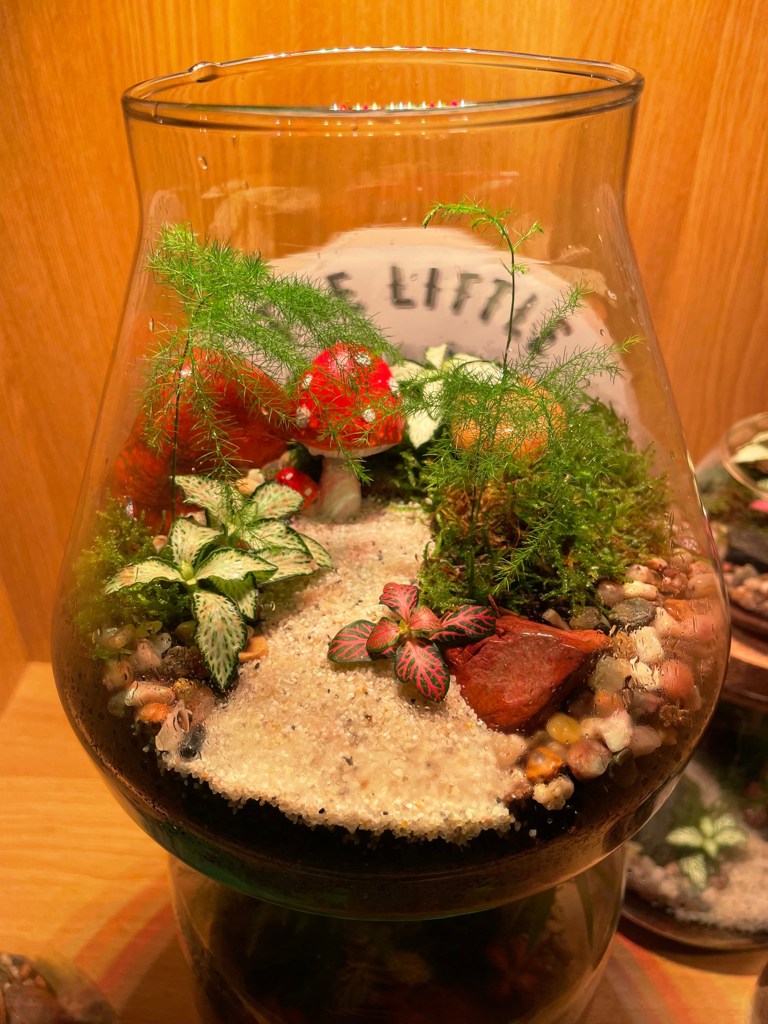 Little Shroom Terrarium