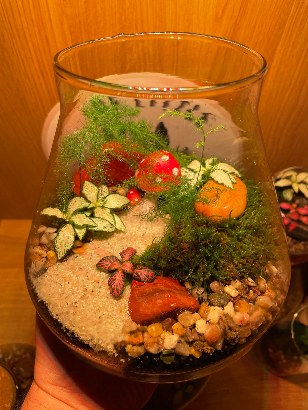 Little Shroom Terrarium