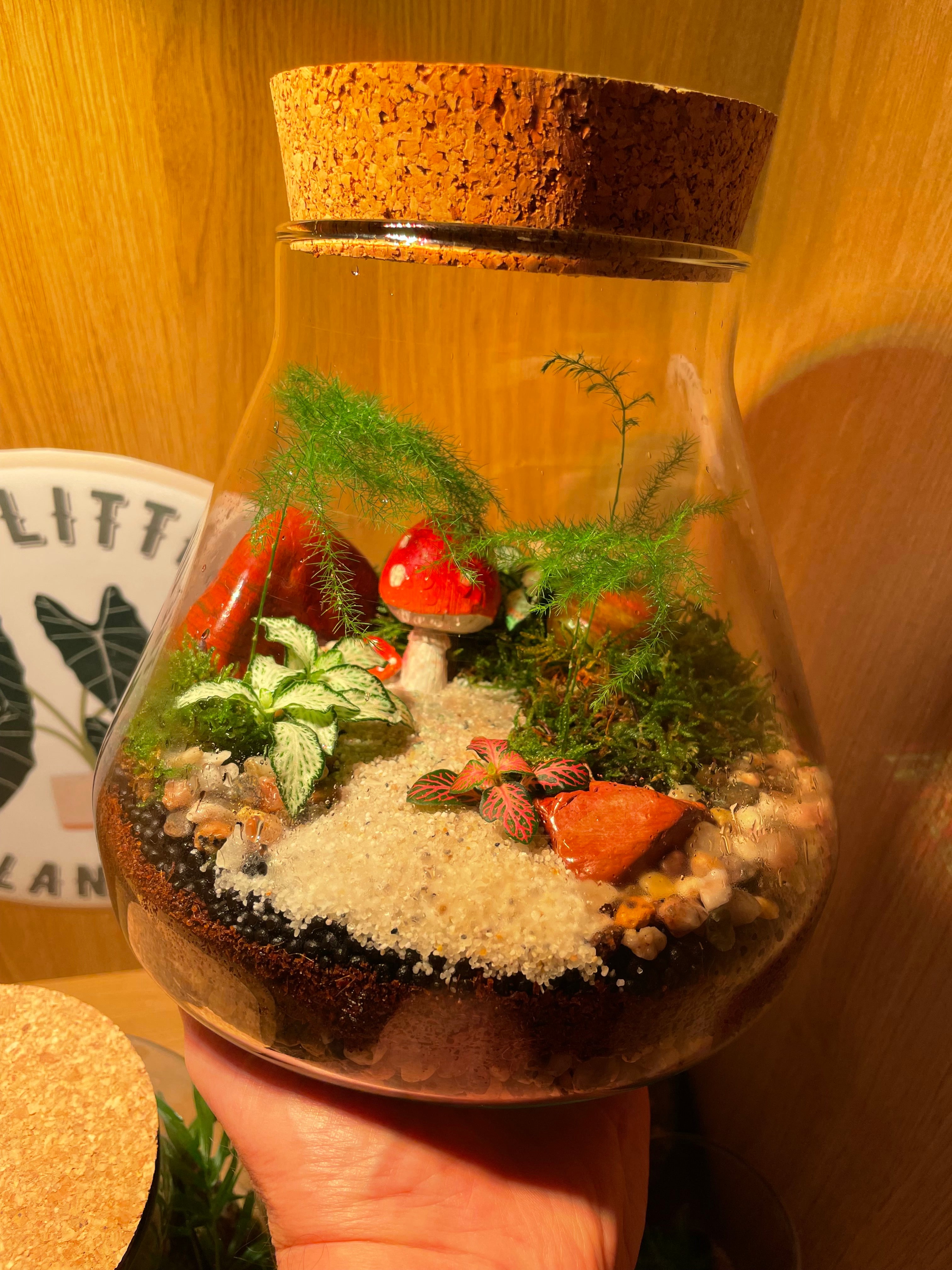 Little Shroom Terrarium