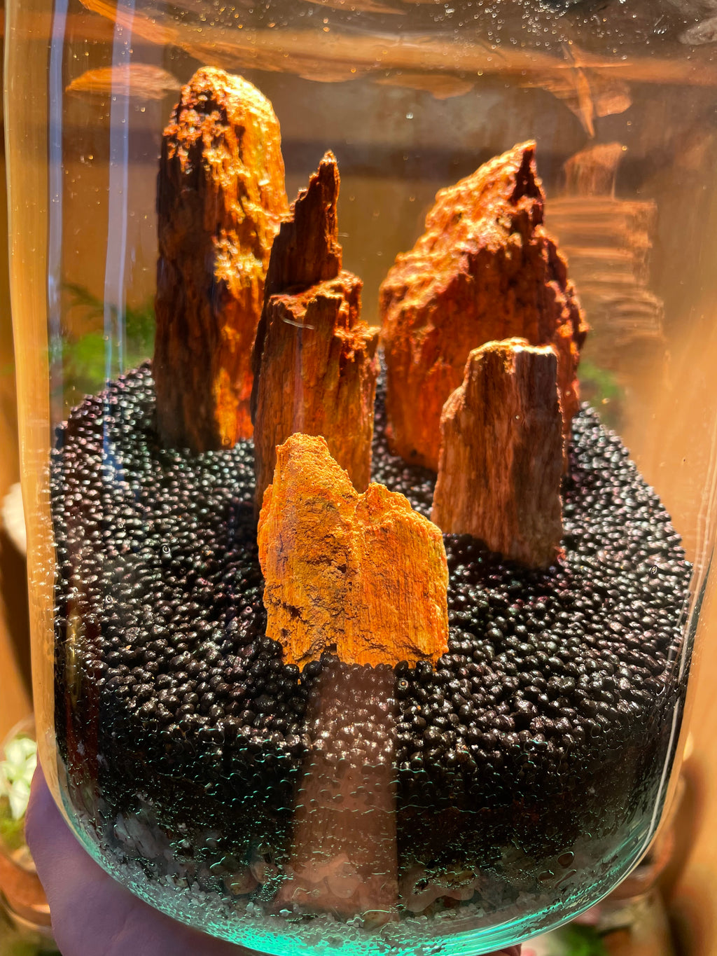 Red Fossil Rock Terrarium