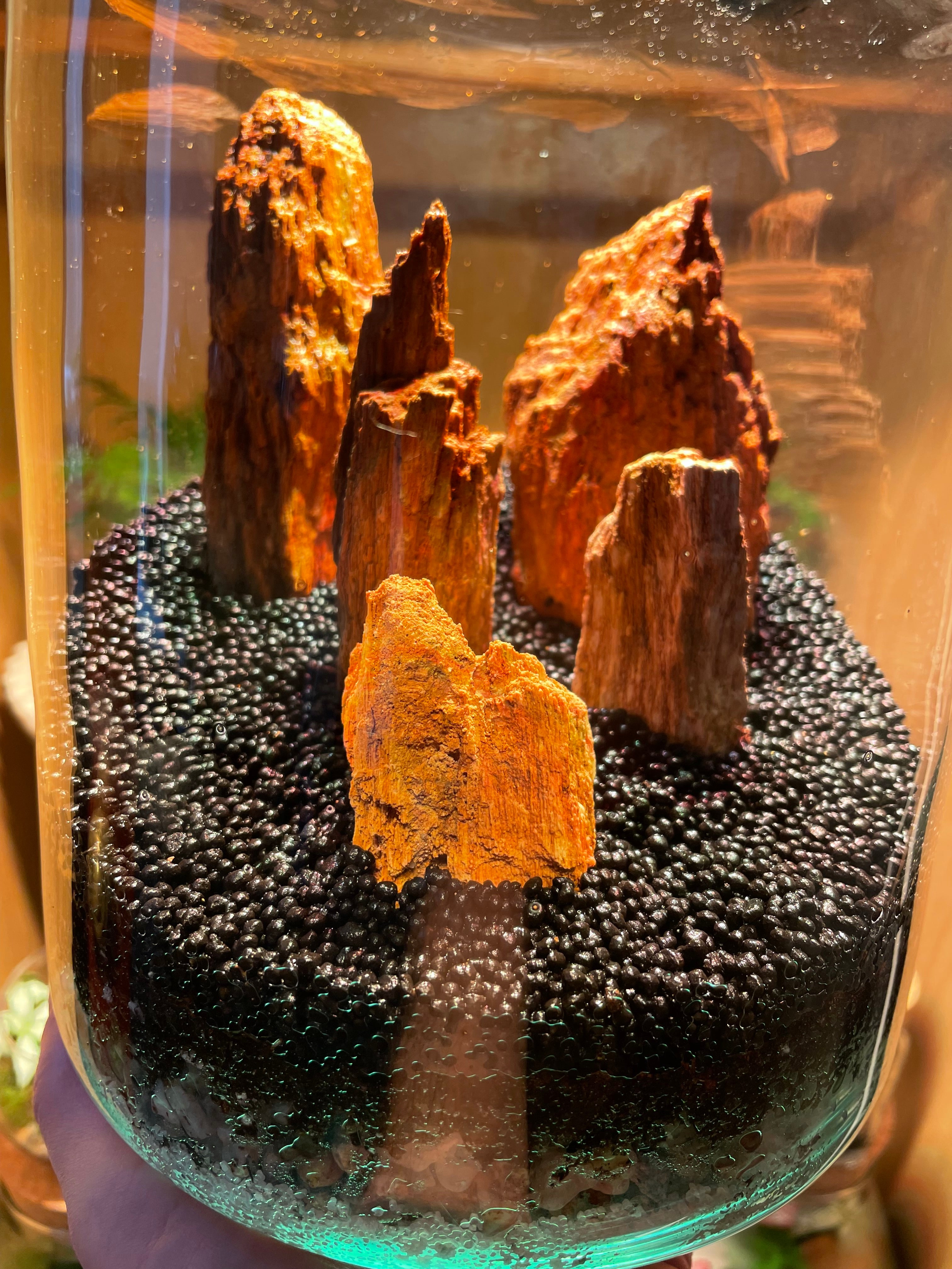 Red Fossil Rock Terrarium