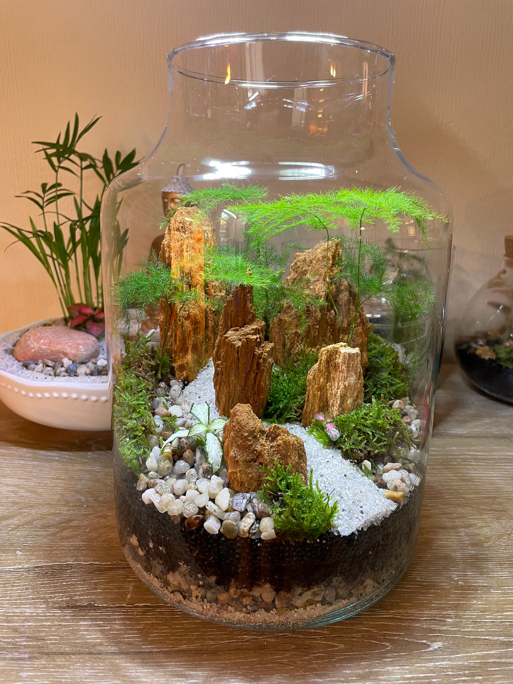 Red Fossil Rock Terrarium
