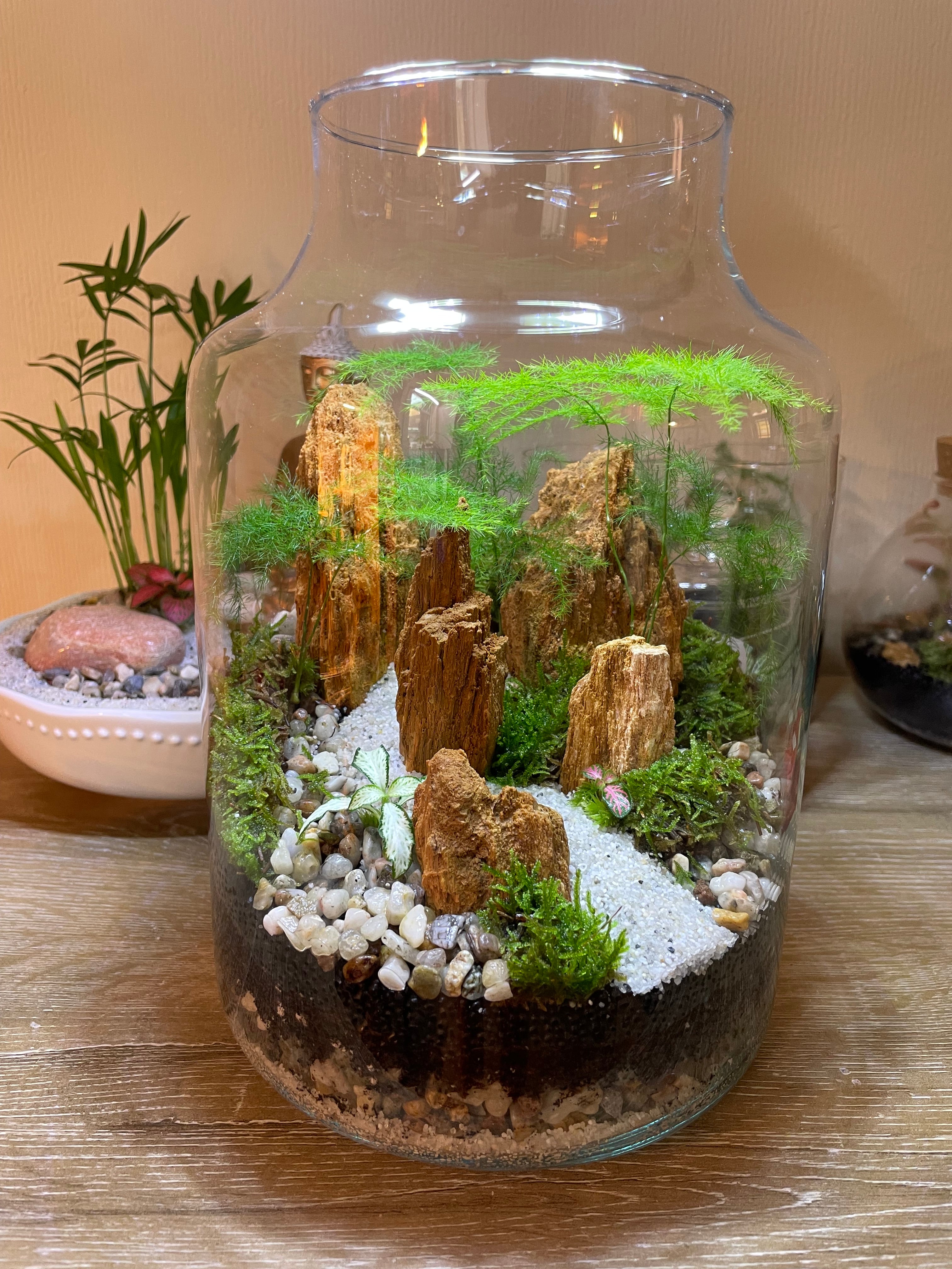 Red Fossil Rock Terrarium