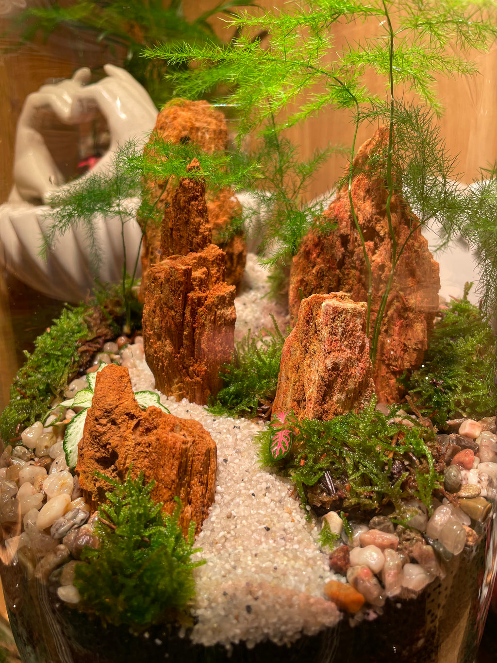 Red Fossil Rock Terrarium