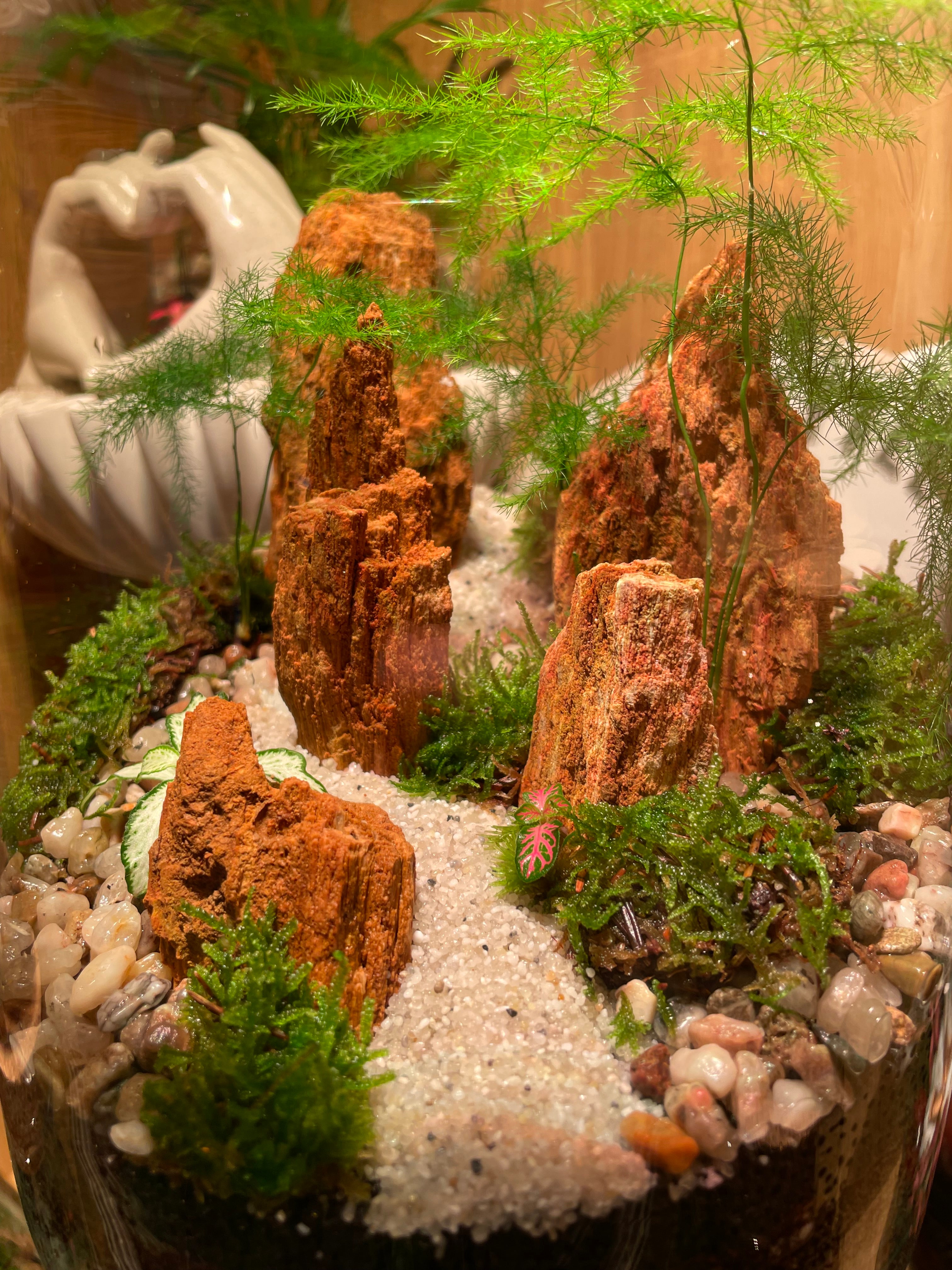 Red Fossil Rock Terrarium