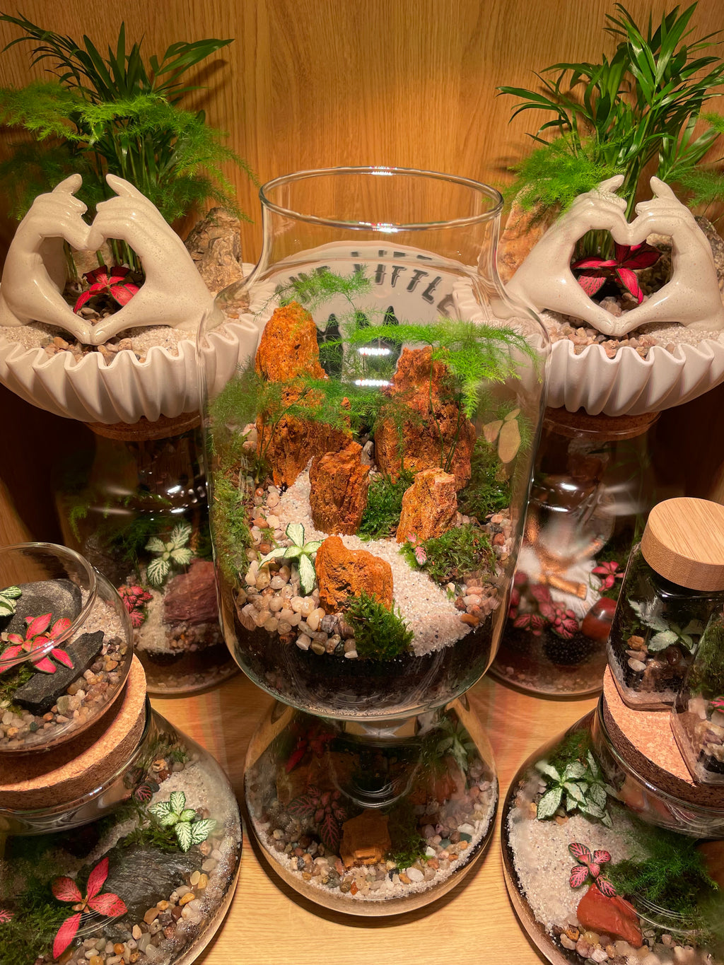 Red Fossil Rock Terrarium