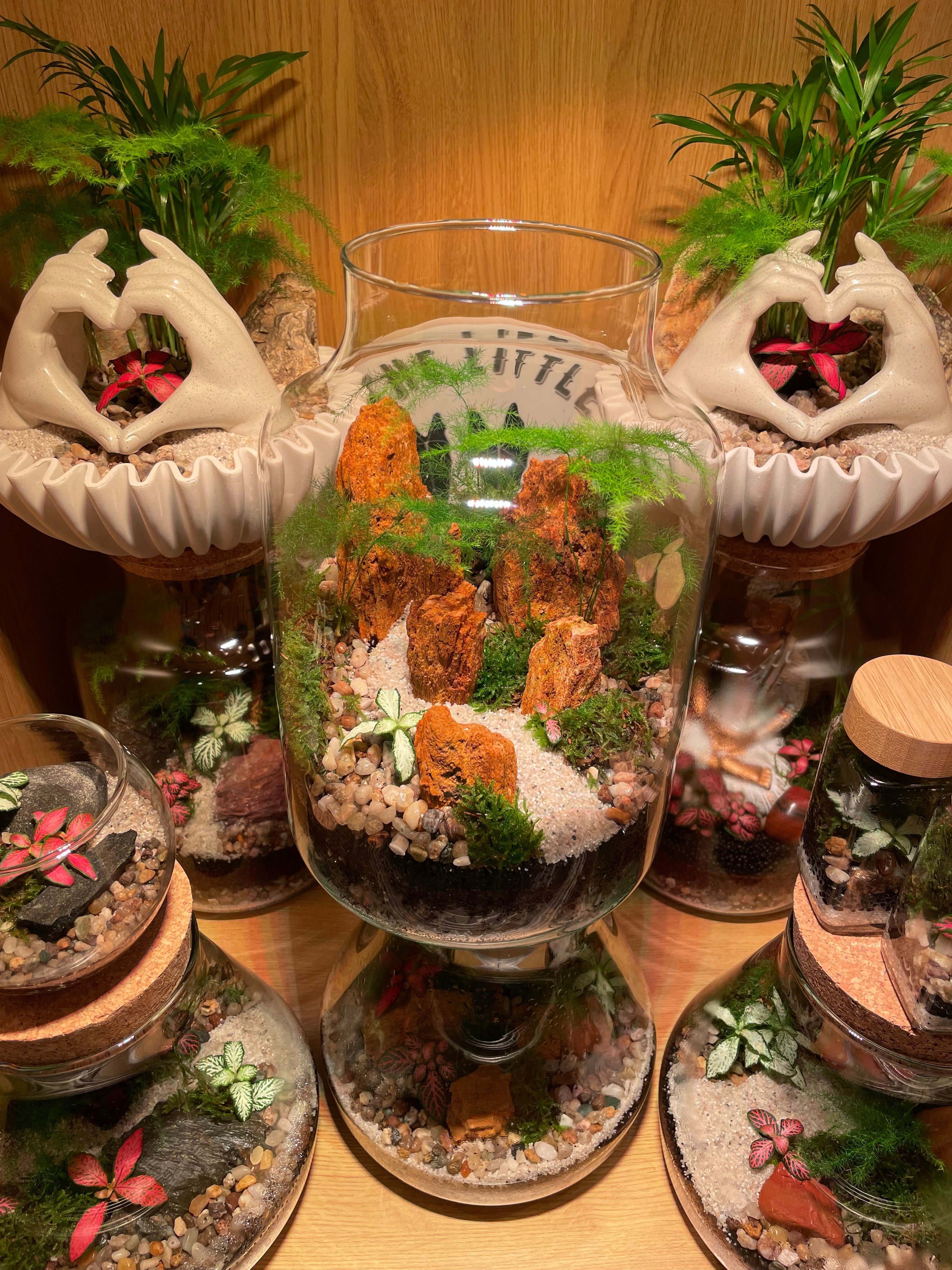 Red Fossil Rock Terrarium