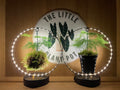 Hanging LED Moss Ball