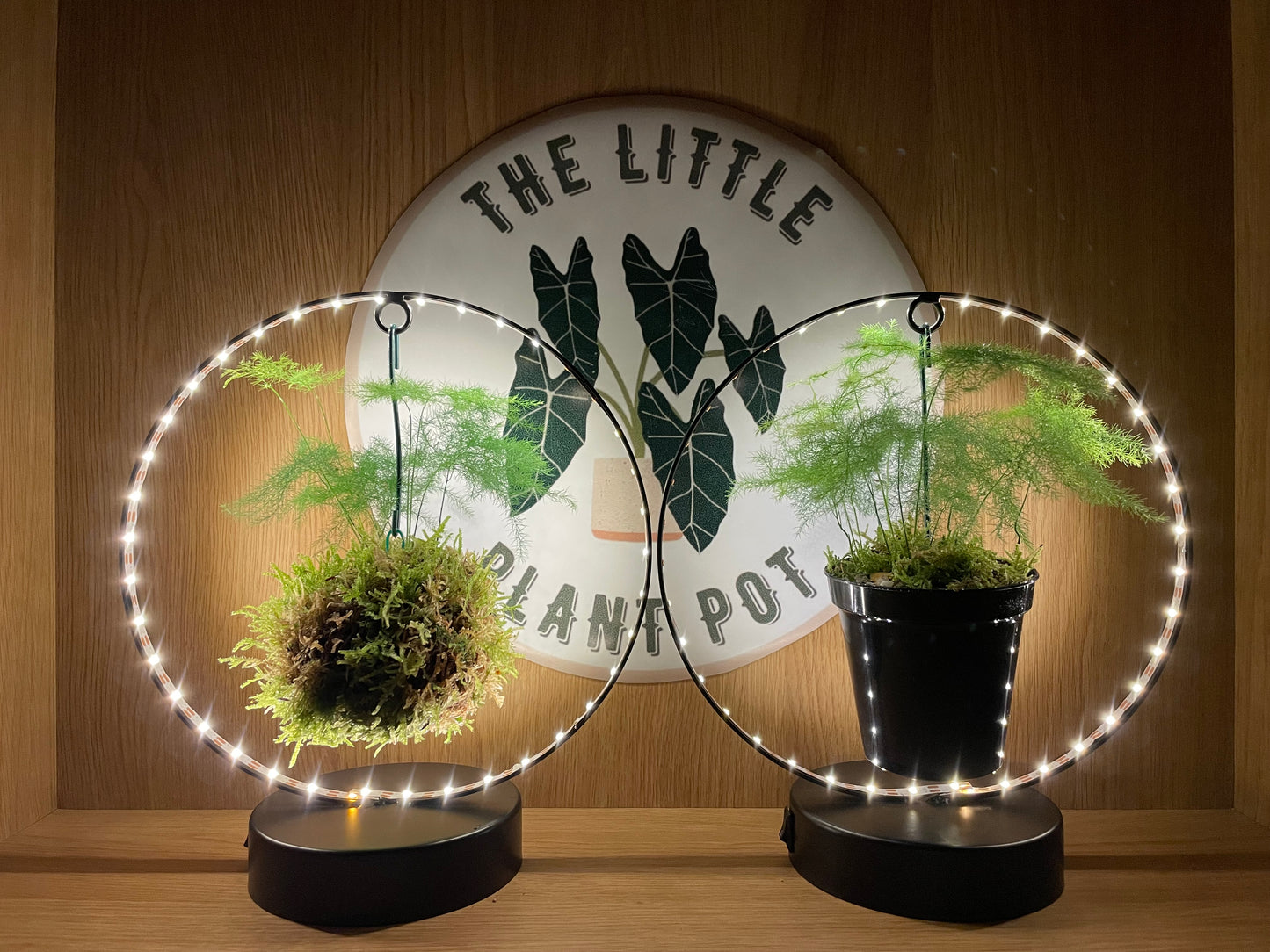 Hanging LED Moss Ball