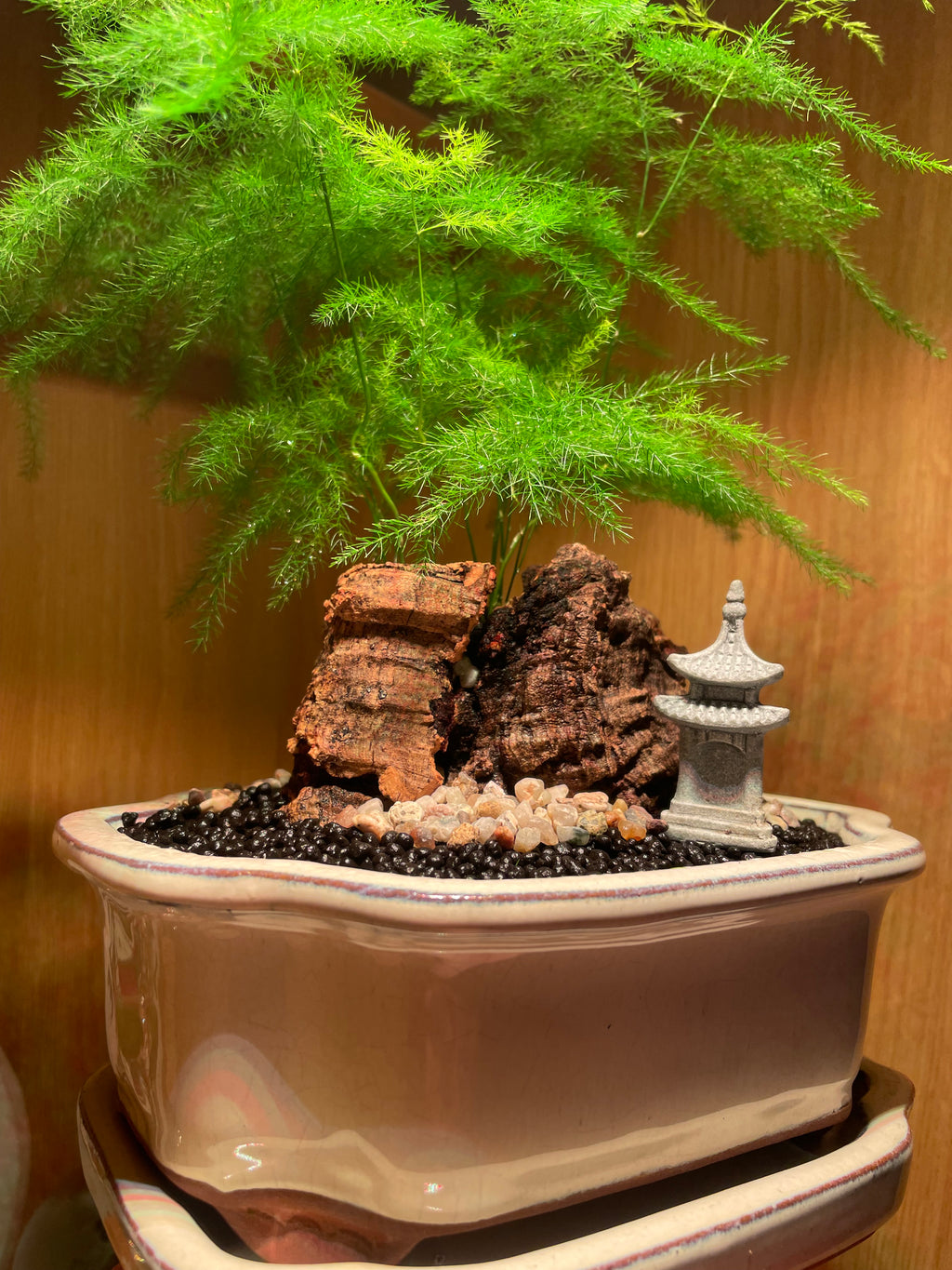 Asparagus Fern Scene