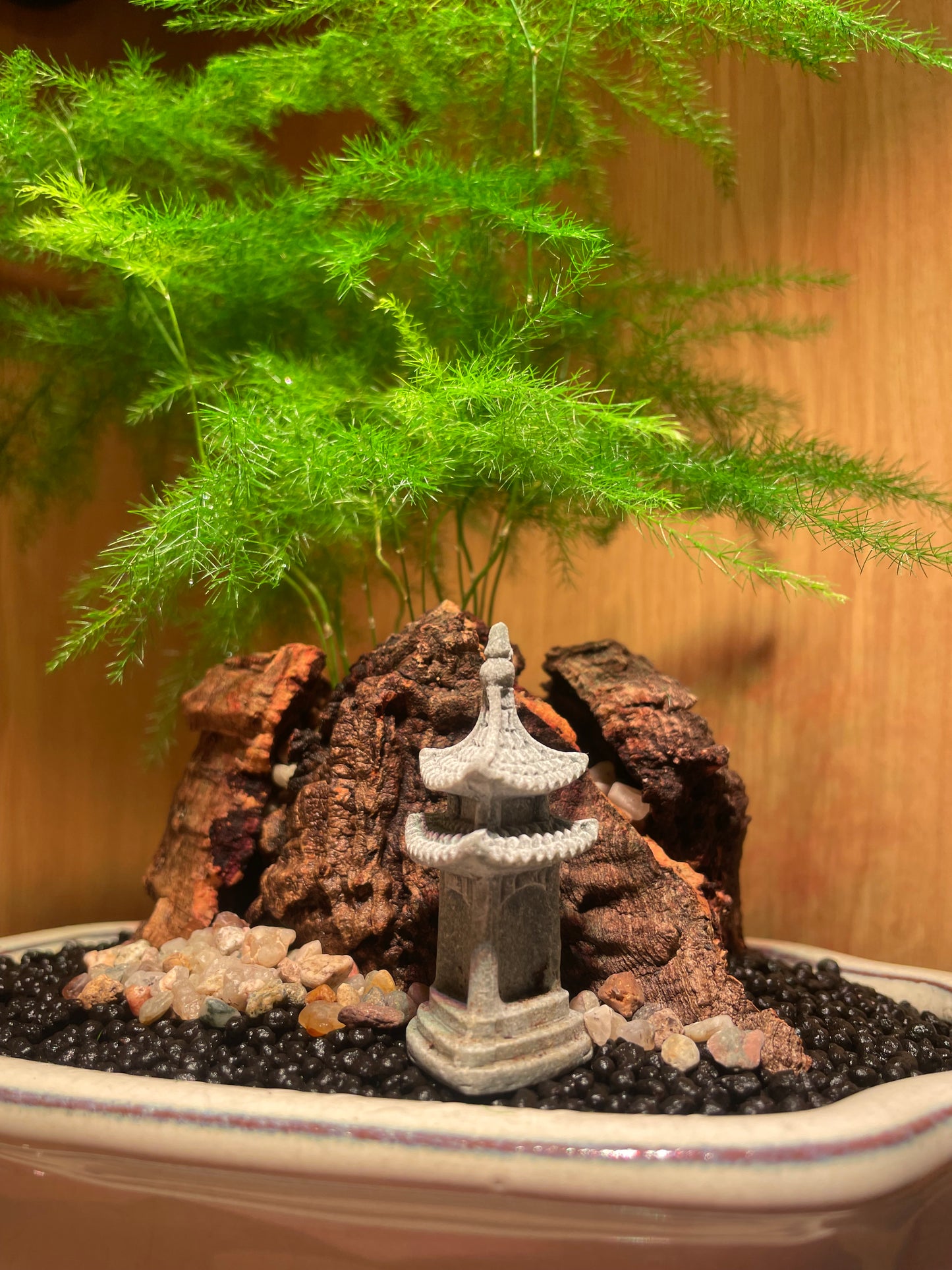 Asparagus Fern Scene