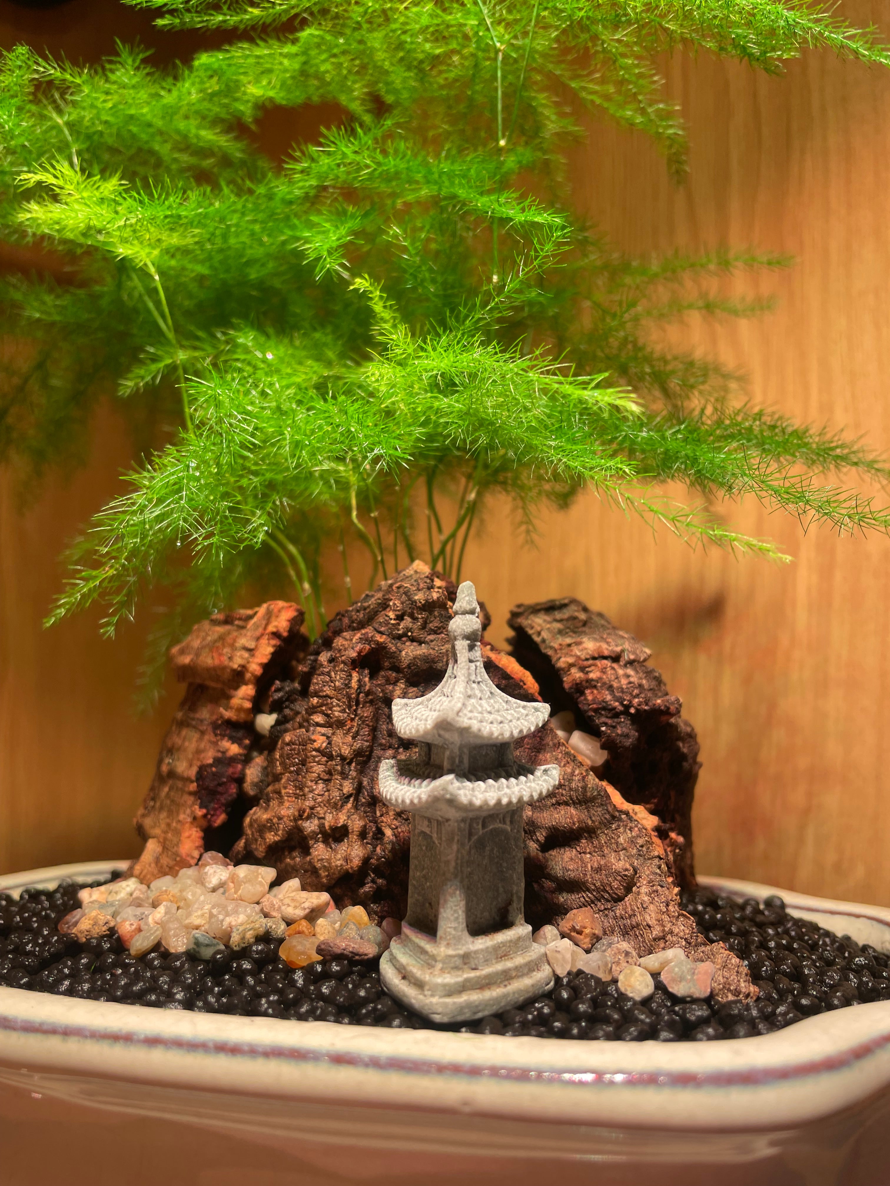 Asparagus Fern Scene