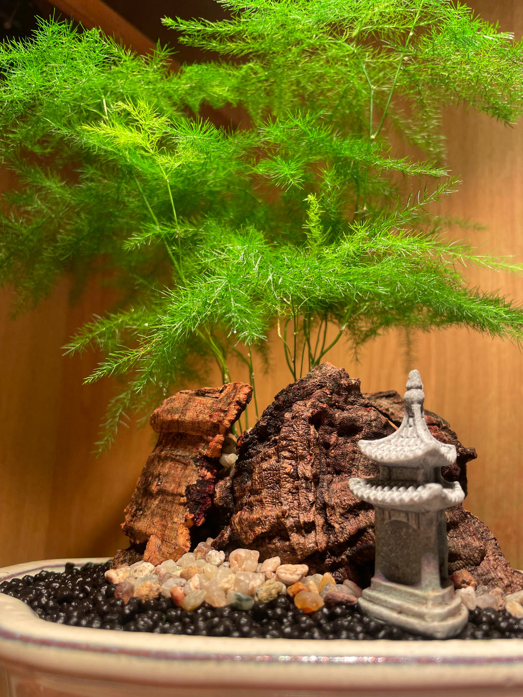 Asparagus Fern Scene