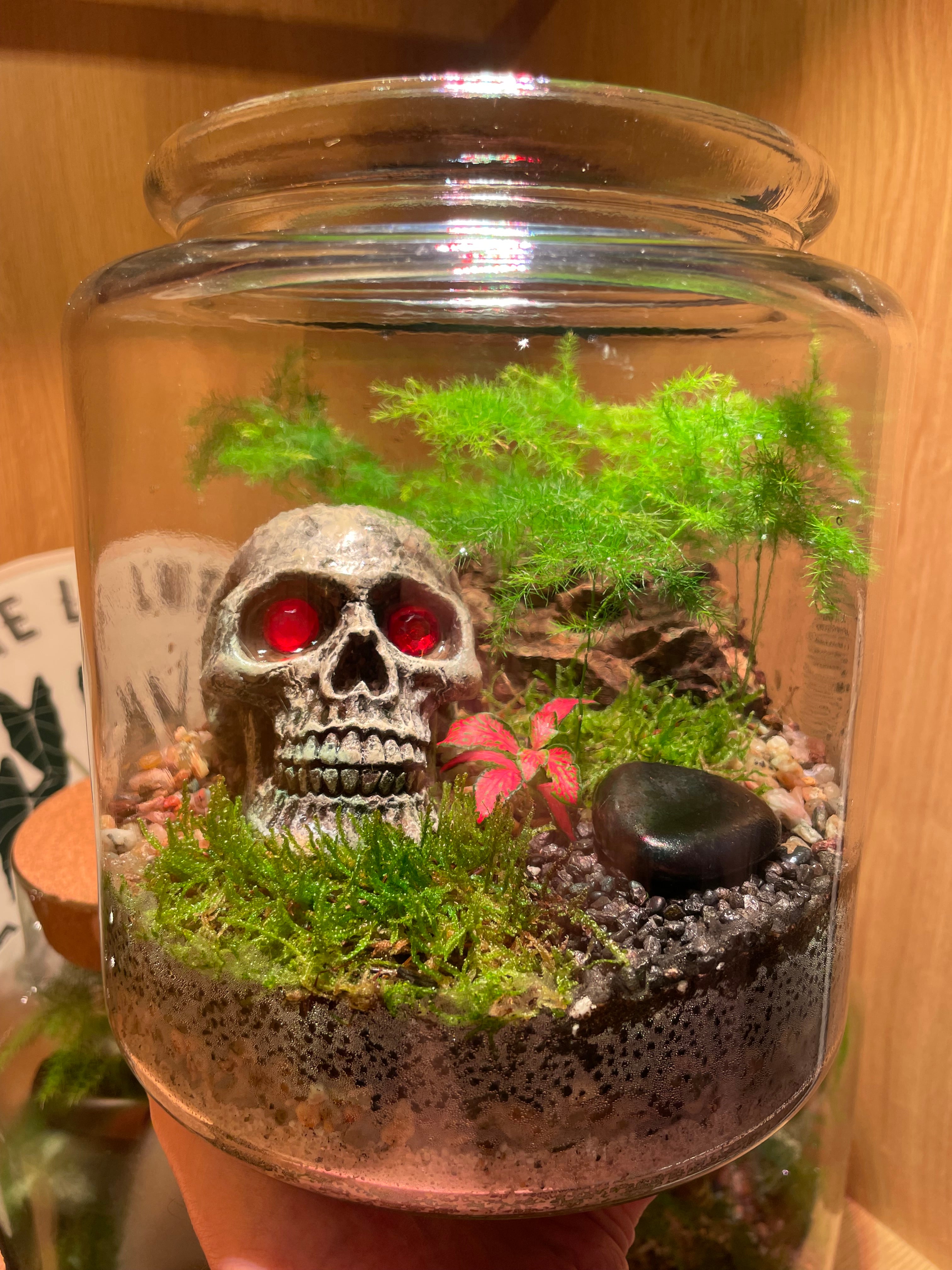 Skully Terrarium