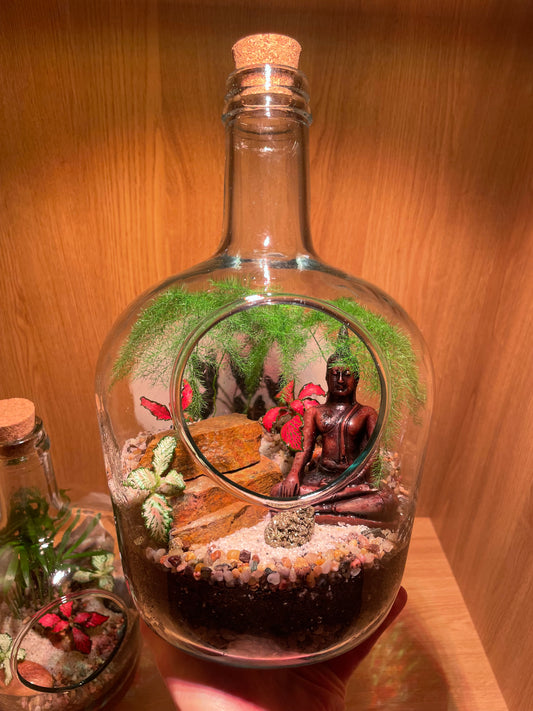 Buddha Bottle Terrarium