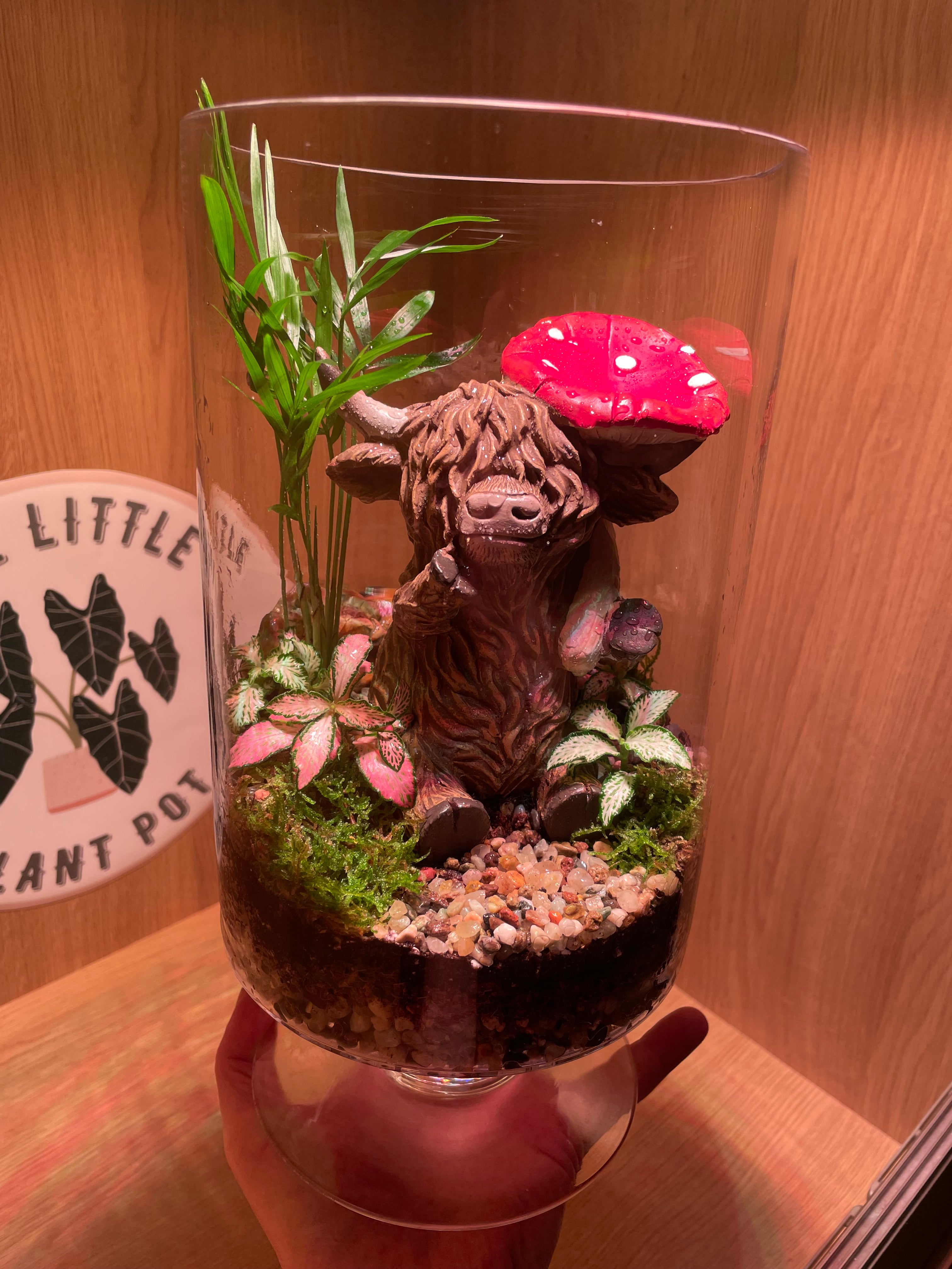 Highland Cow Glass