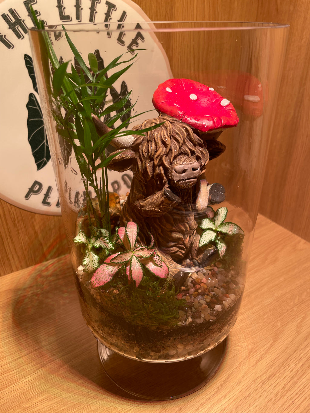 Highland Cow Glass