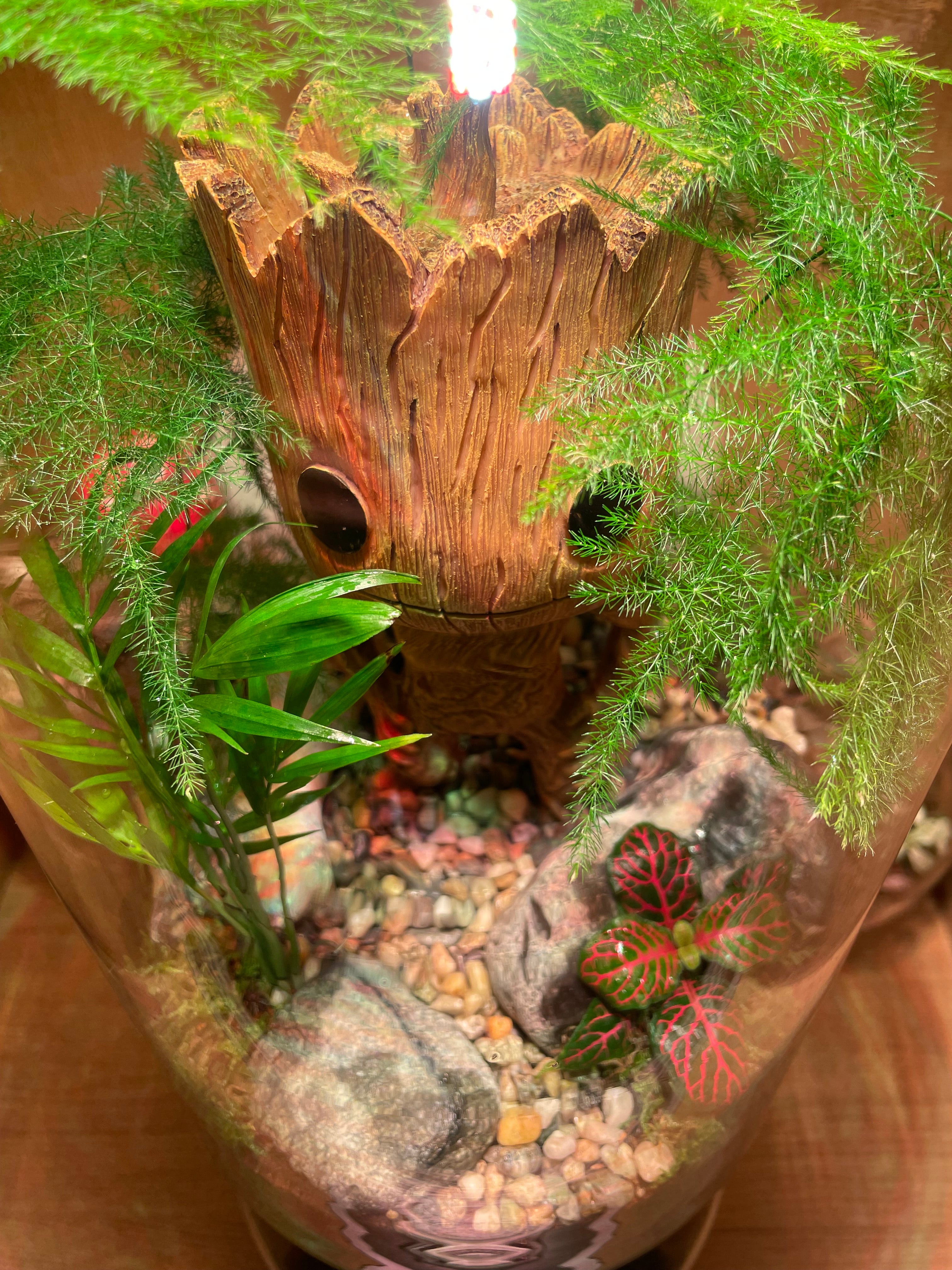 Groots Forest