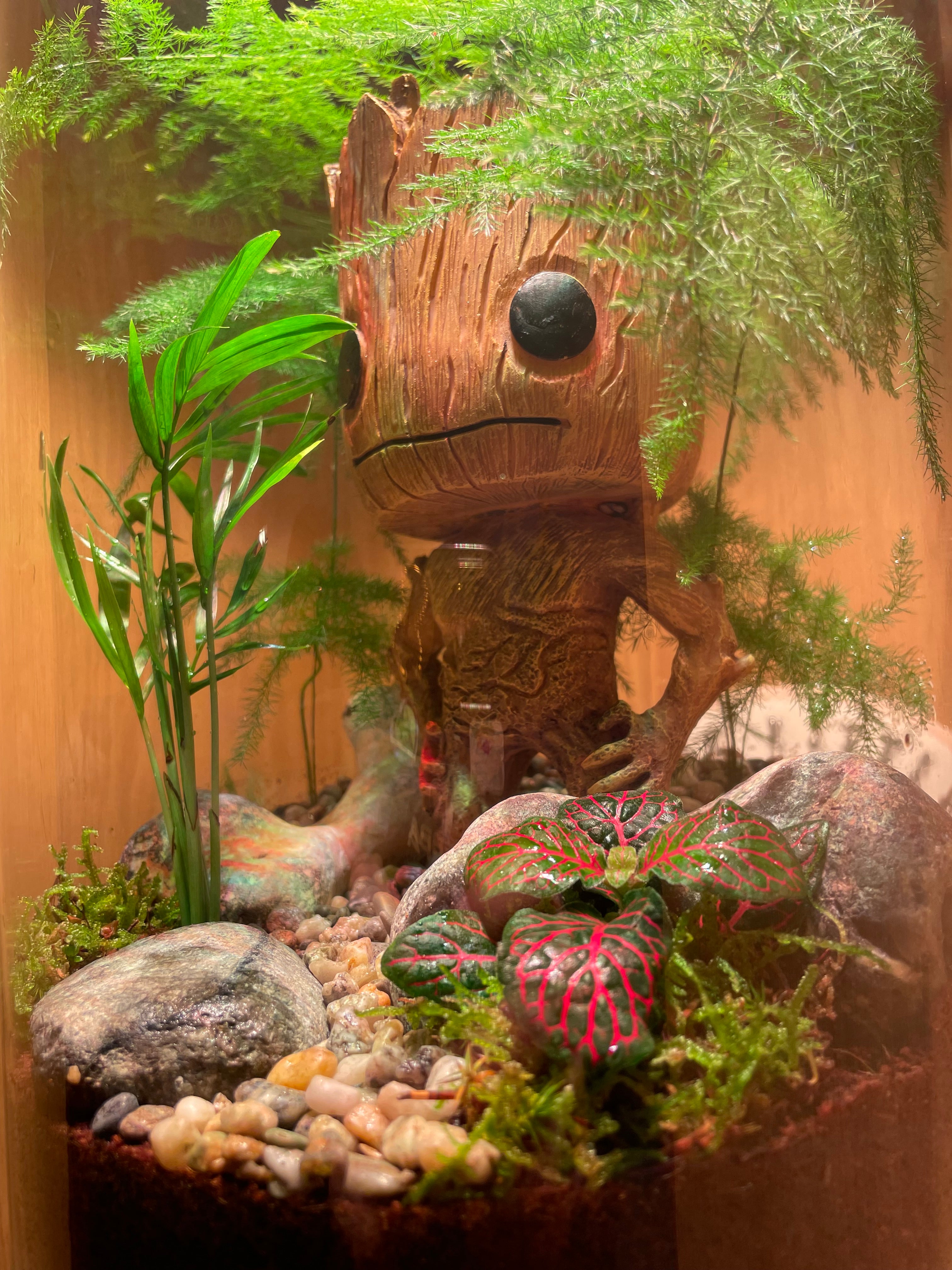 Groots Forest