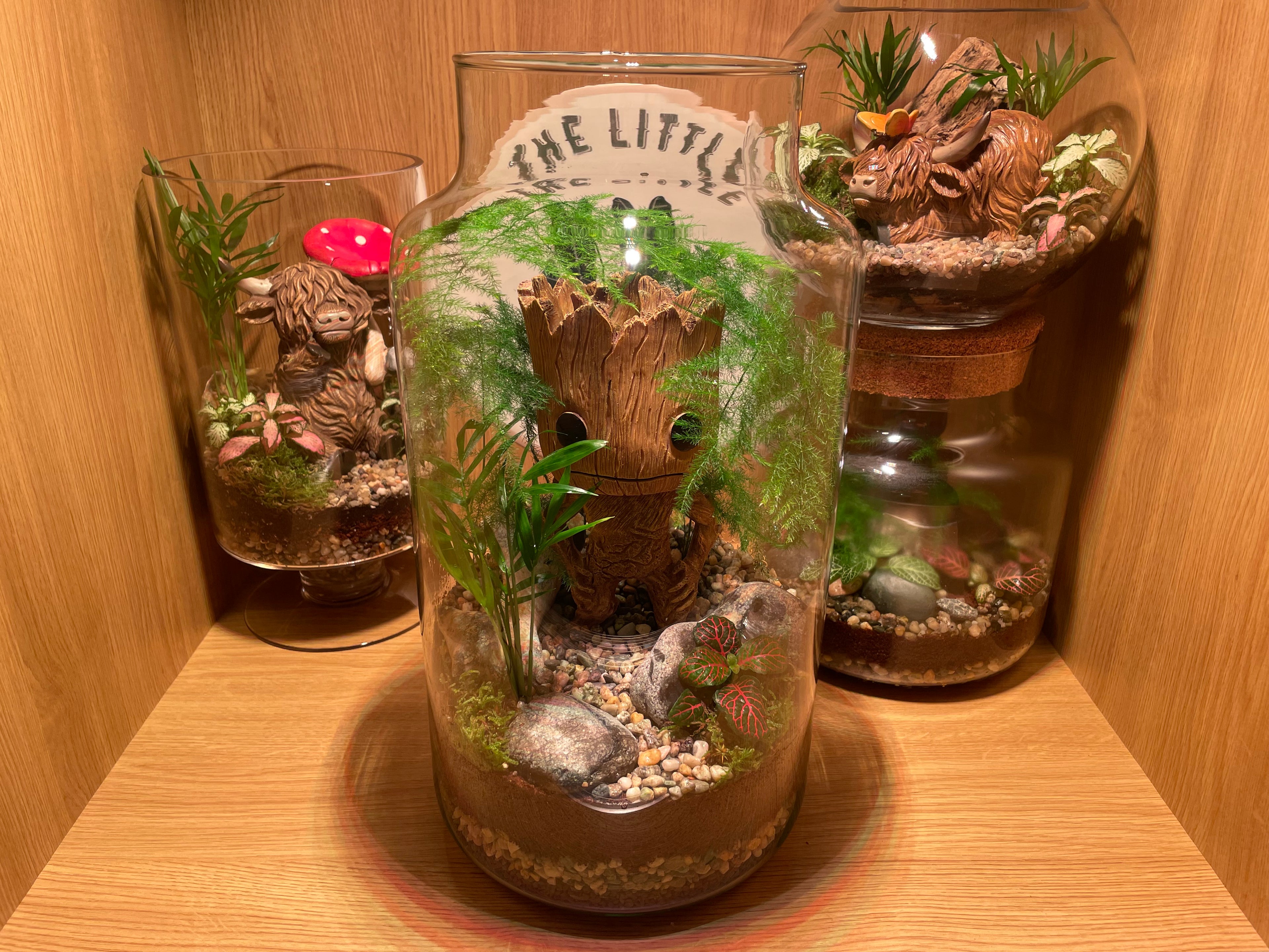 Groots Forest