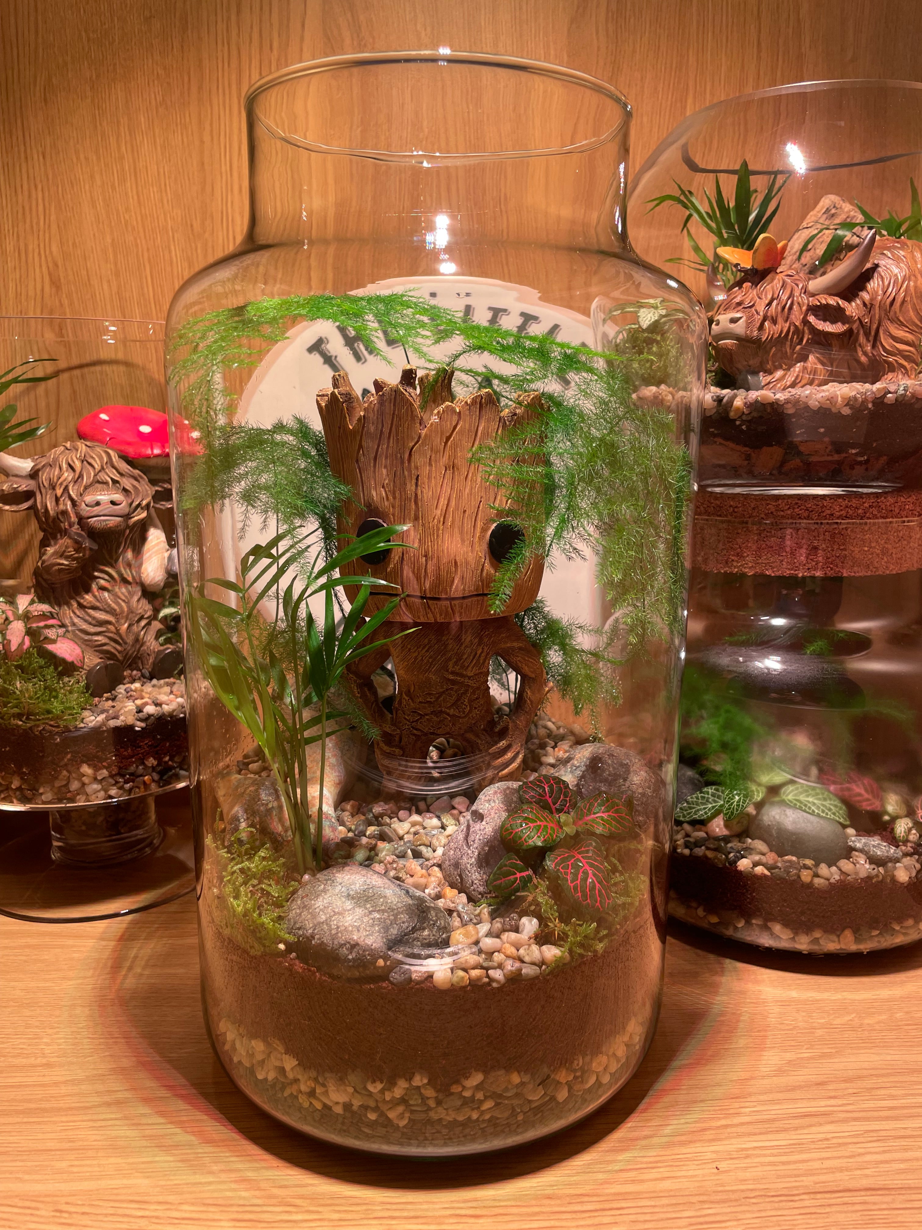Groots Forest