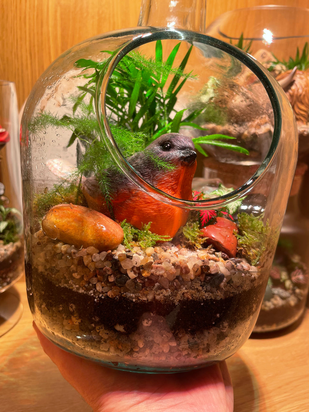 Little Red Robin Terrarium
