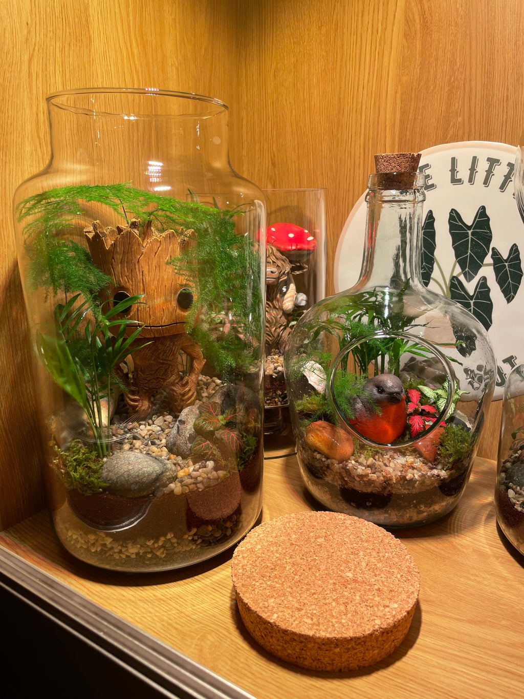 Little Red Robin Terrarium