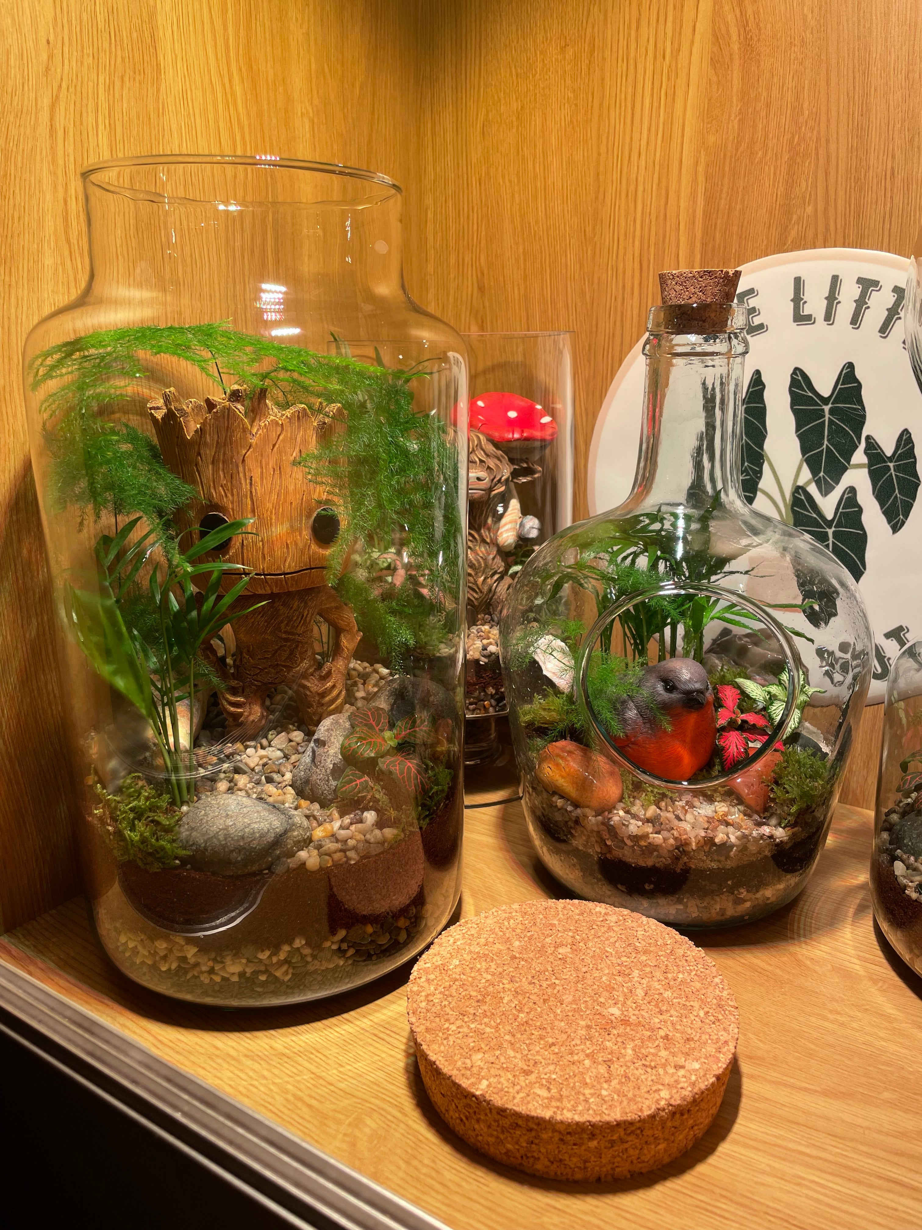 Little Red Robin Terrarium