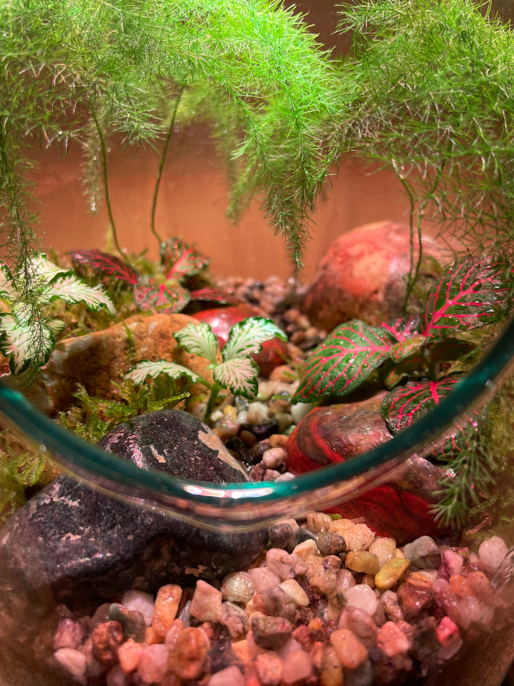 Tropical Forest Bottle Terrarium