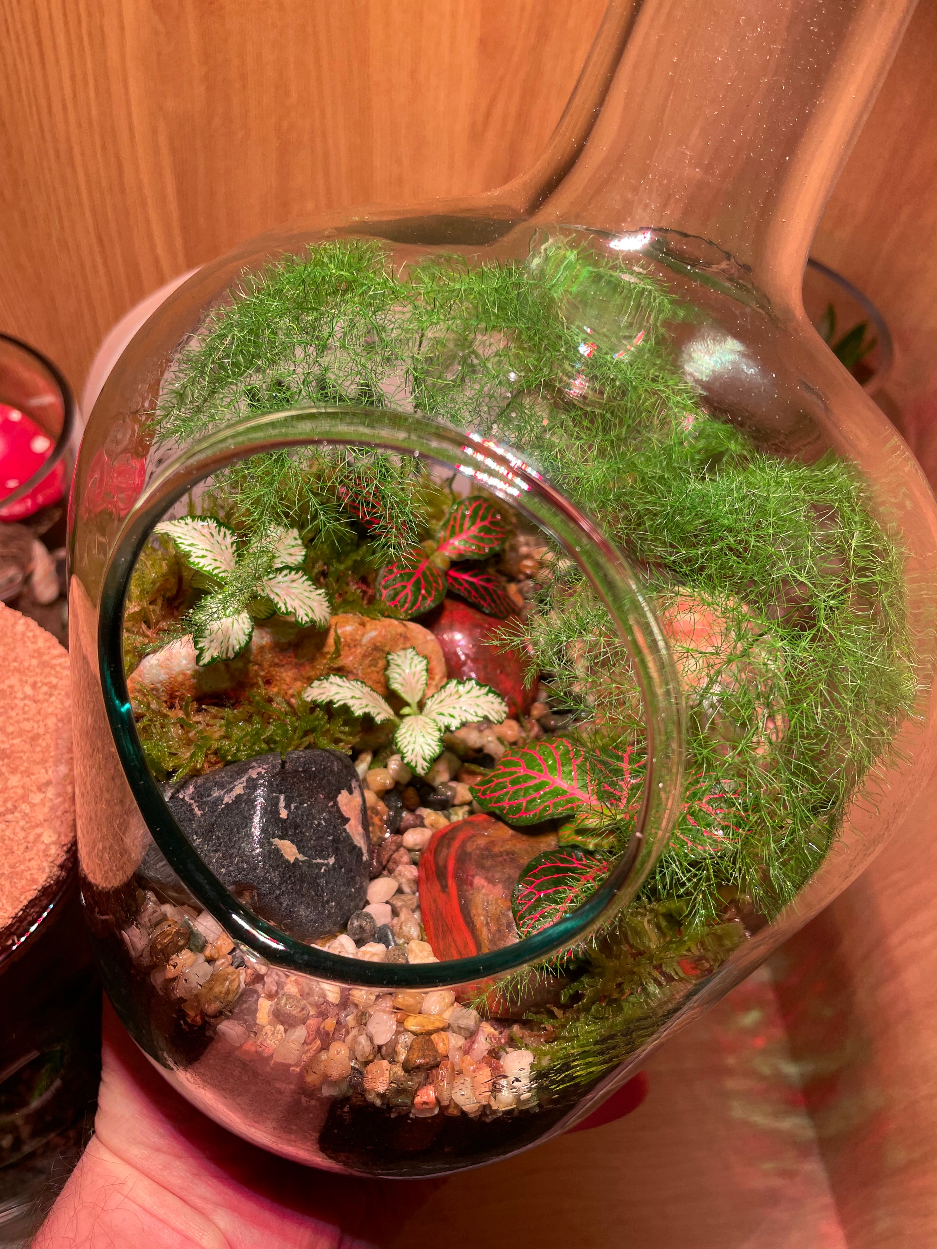 Tropical Forest Bottle Terrarium