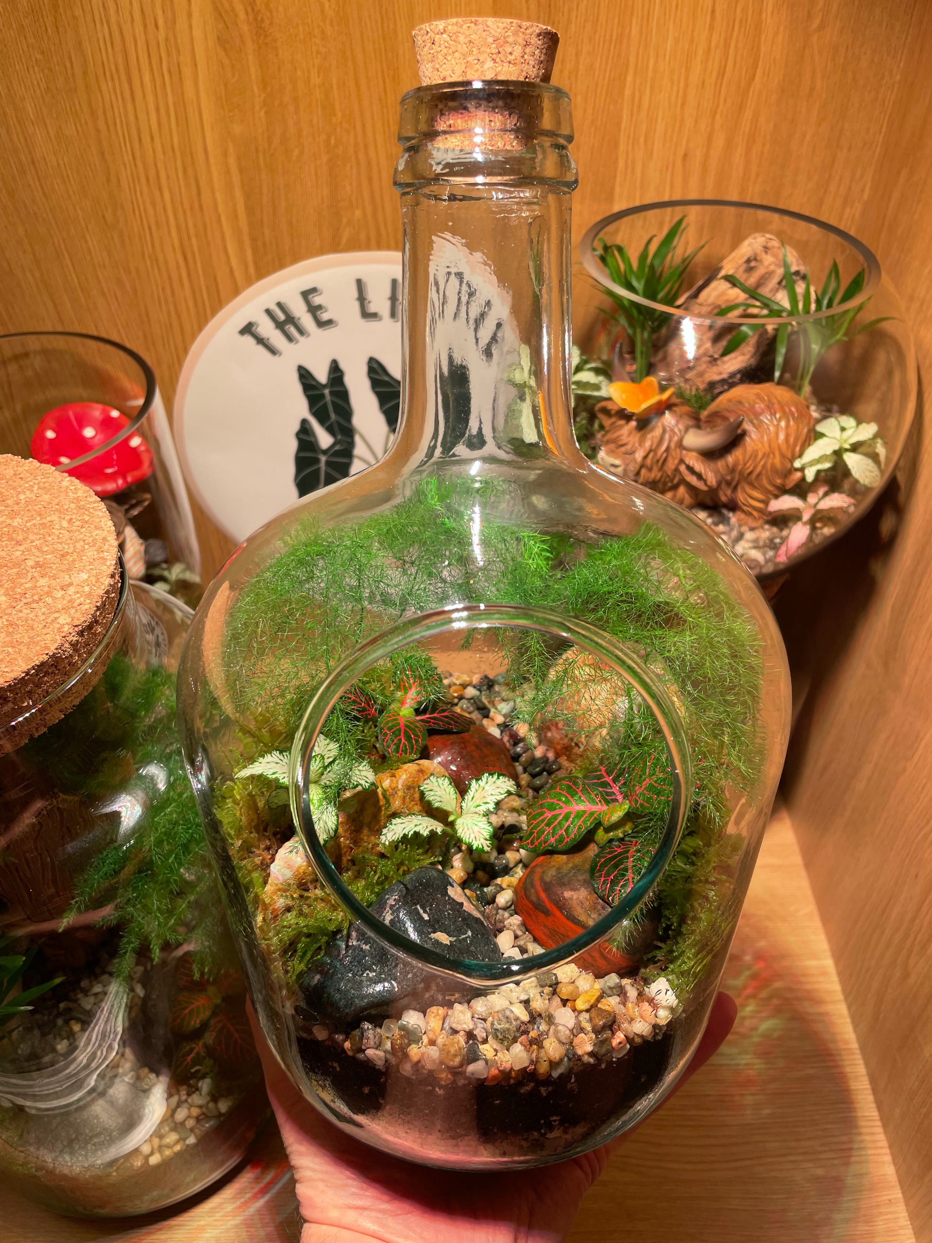 Tropical Forest Bottle Terrarium