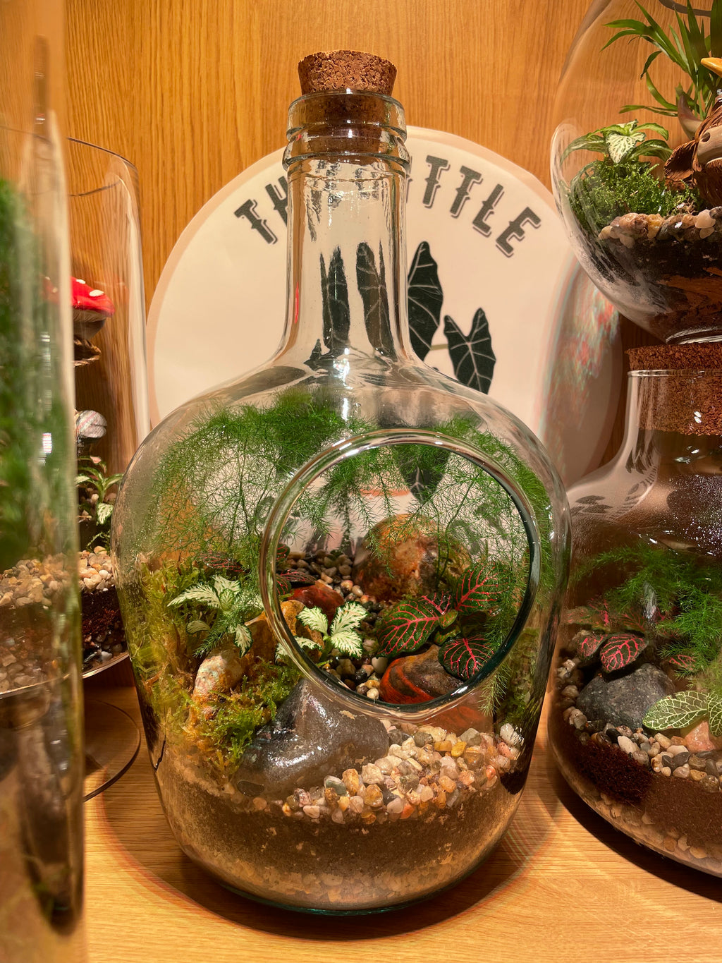 Tropical Forest Bottle Terrarium