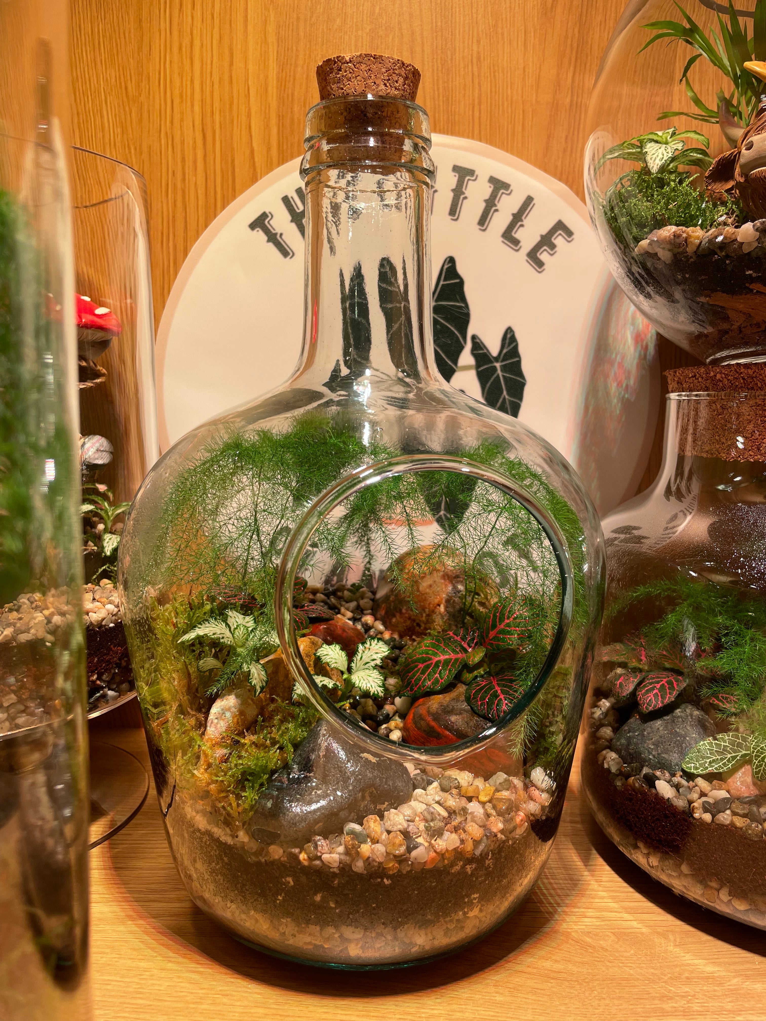 Tropical Forest Bottle Terrarium