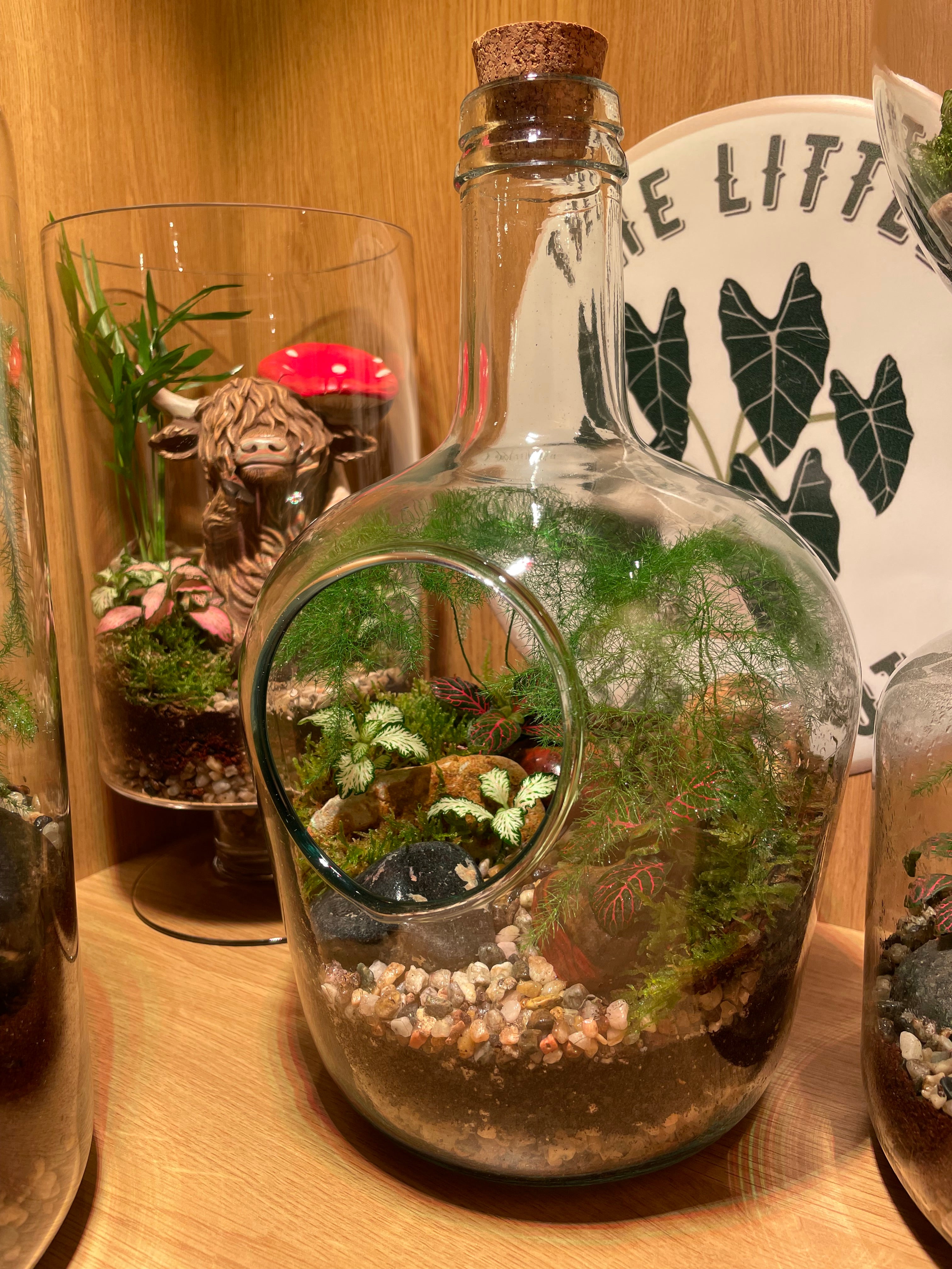 Tropical Forest Bottle Terrarium