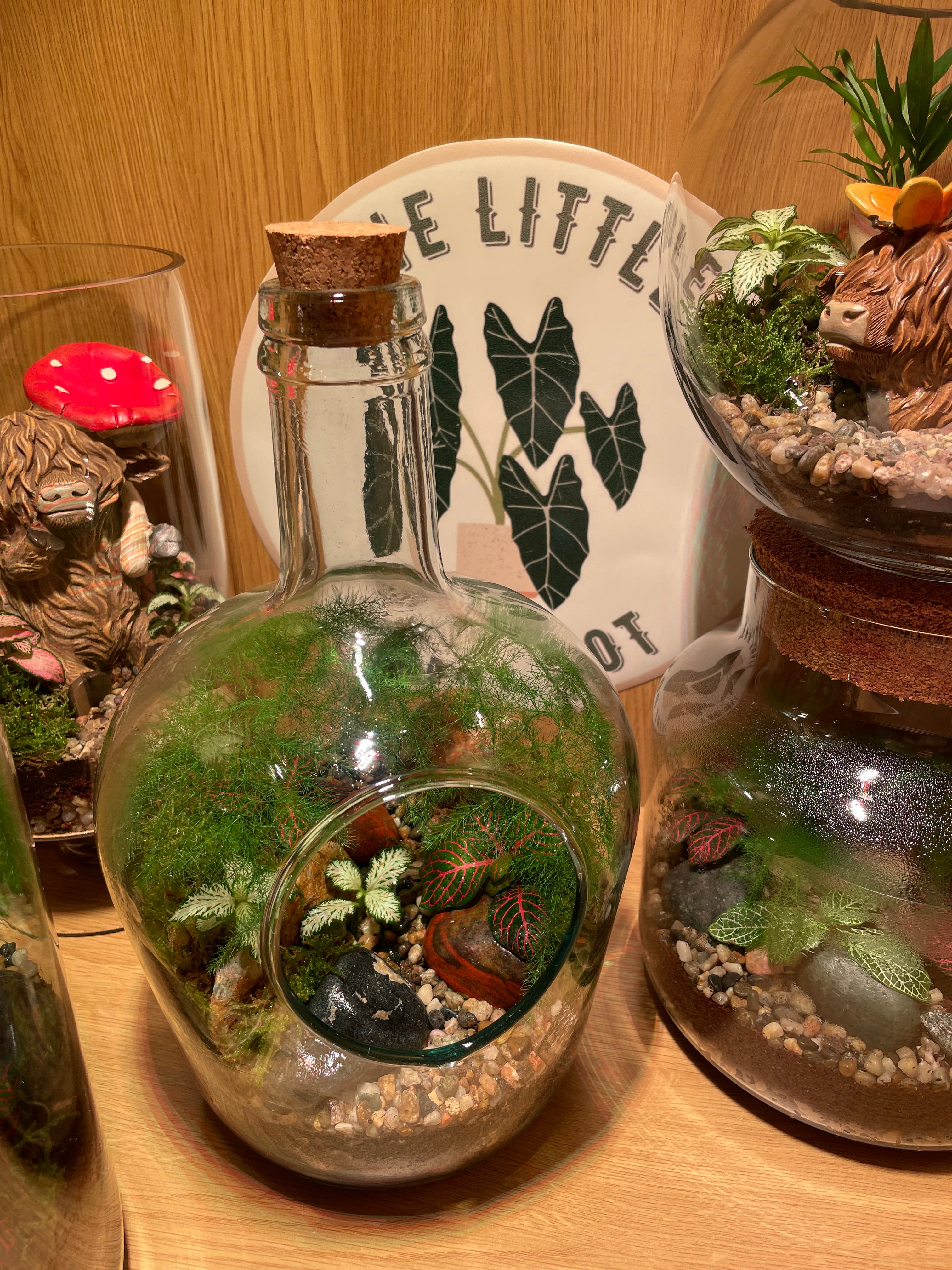 Tropical Forest Bottle Terrarium