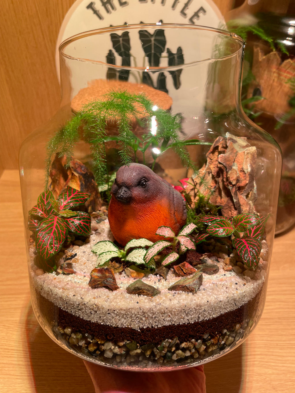 Little Red Robin Terrarium